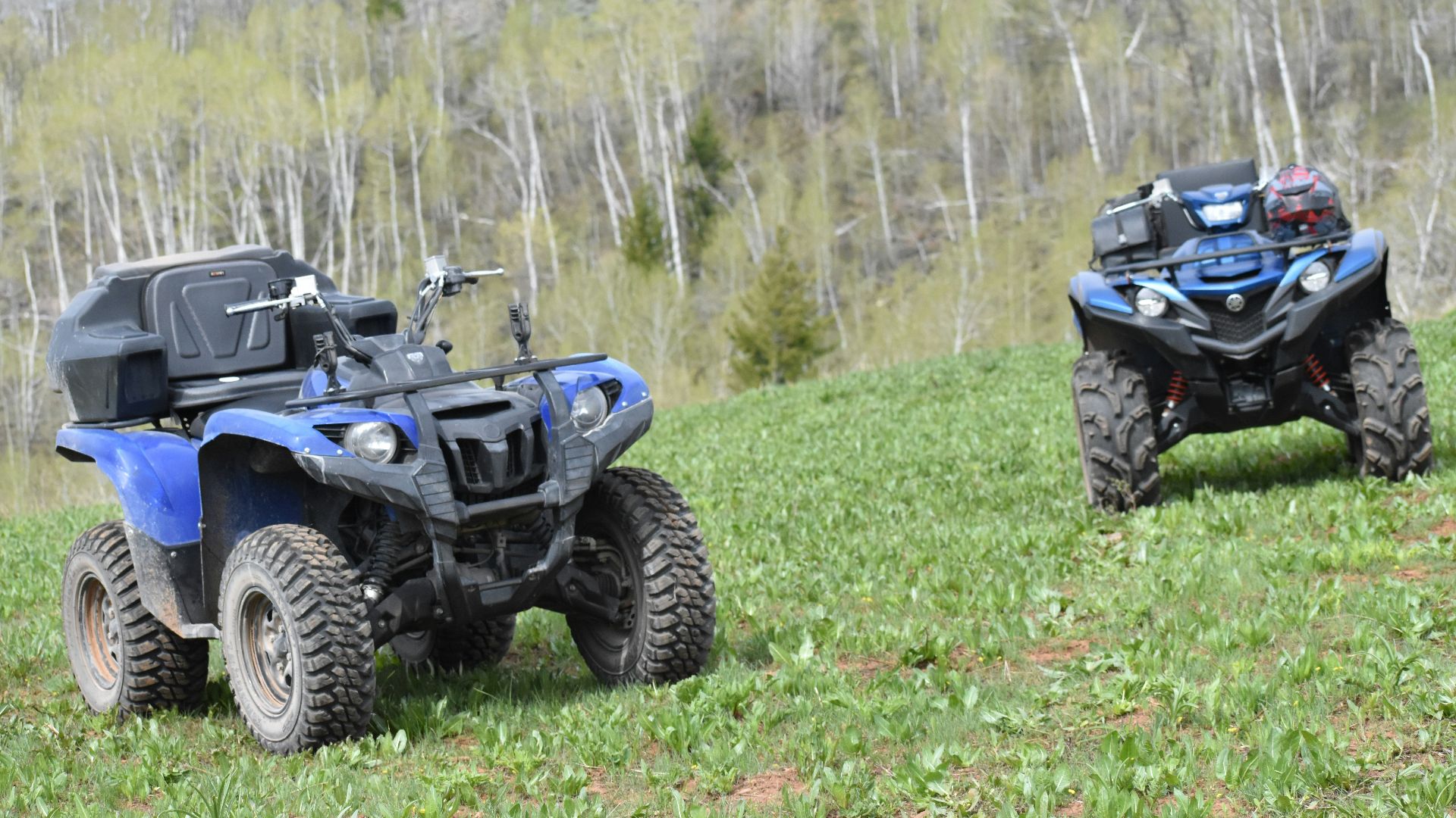 20. Yamaha Wolverine X2 1000