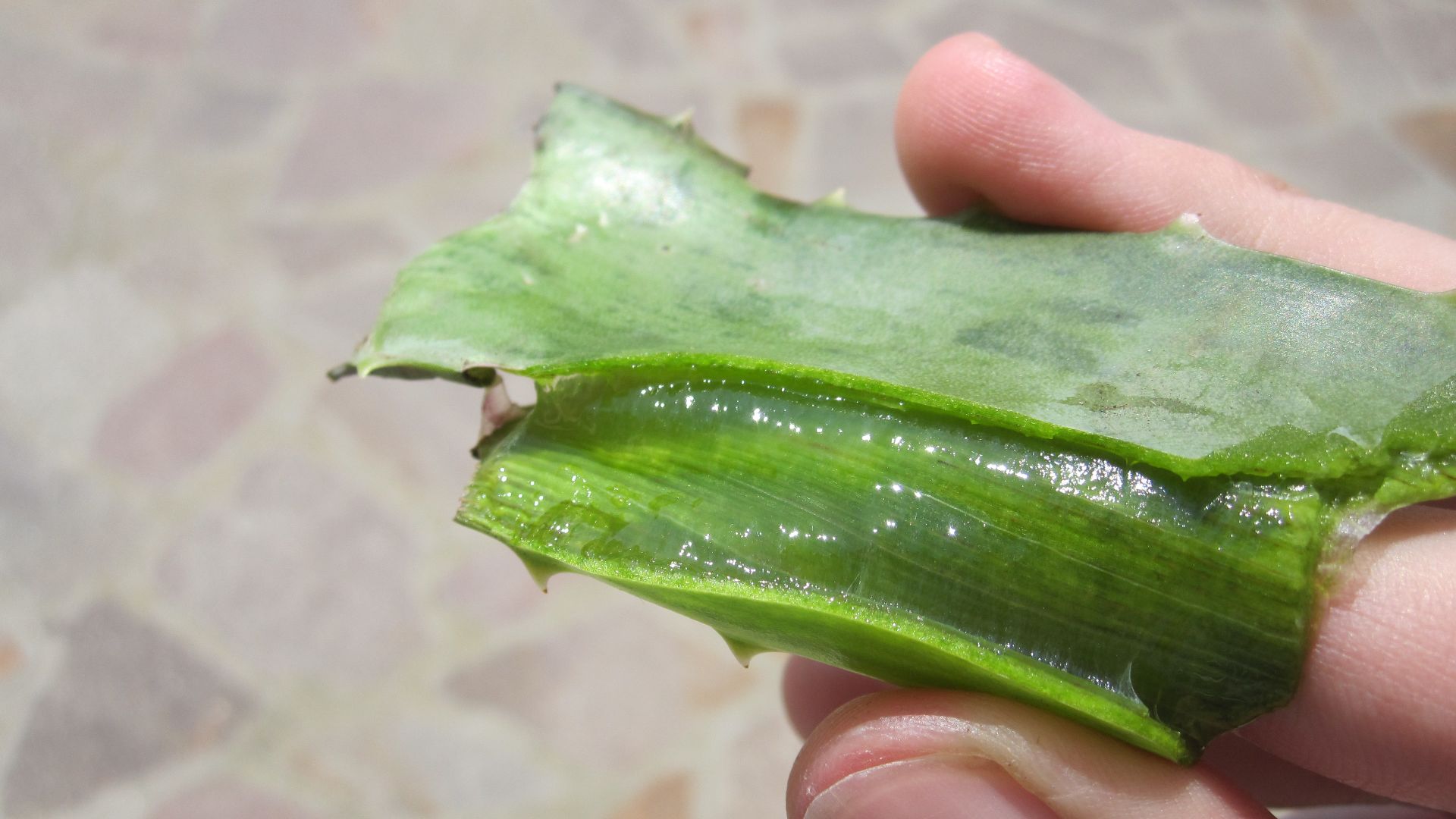 19. Jus d'aloe vera