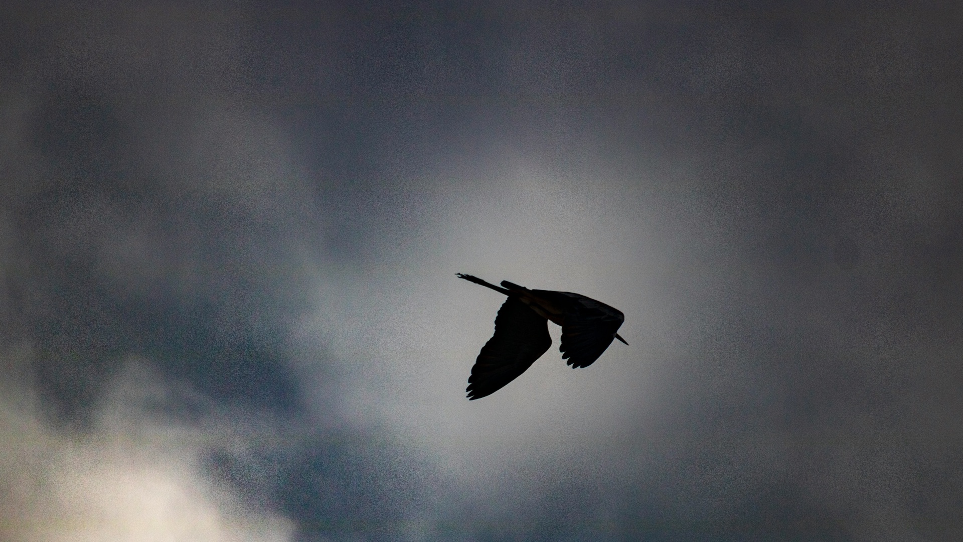8. Les observations du Mothman