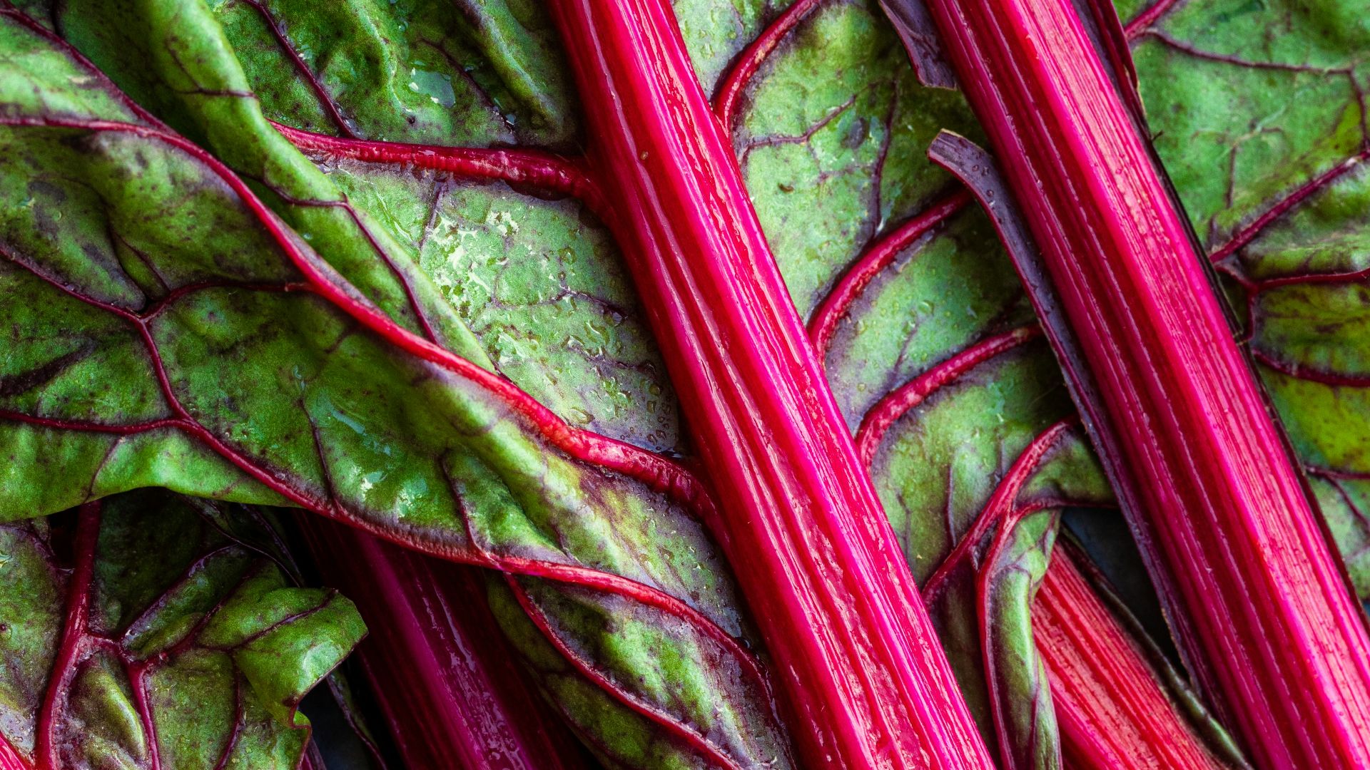 9. Limiter la consommation d'aliments riches en oxalate lorsque cela s'avère nécessaire