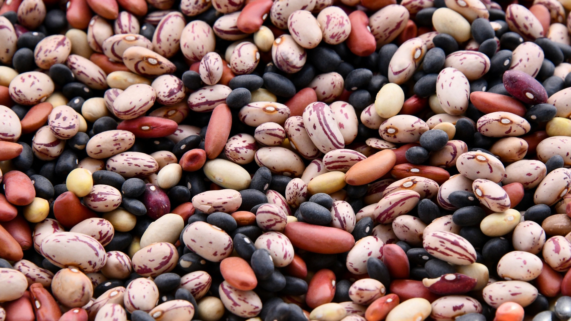 Haricots