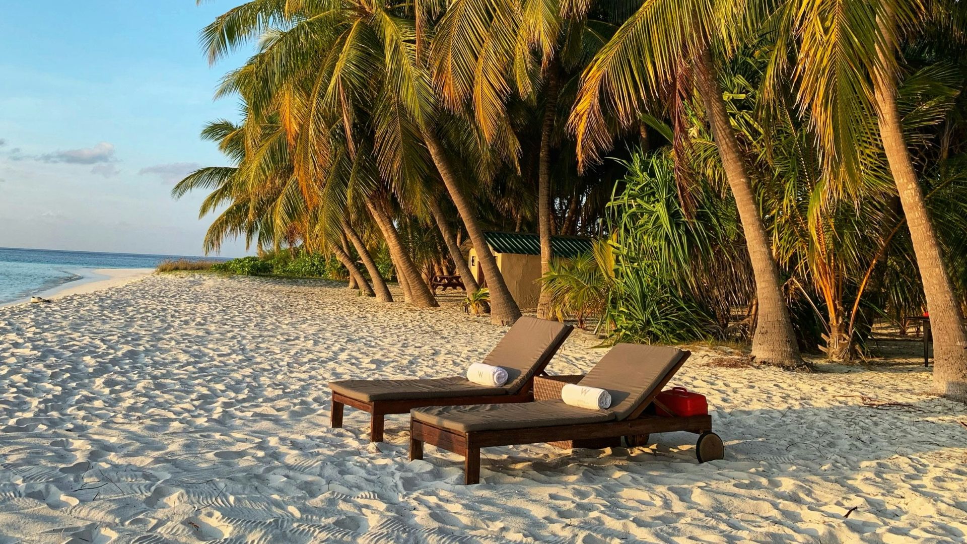 5. Vous ne vous souvenez pas de vos dernières vacances