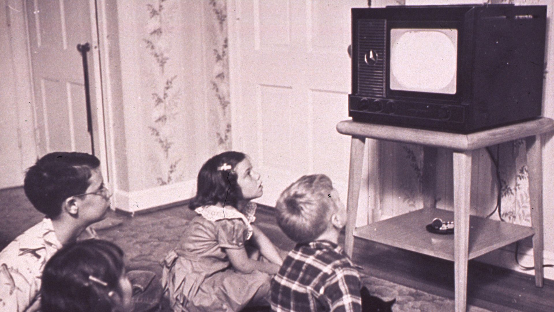 13. Attendre que les programmes de divertissement soient disponibles