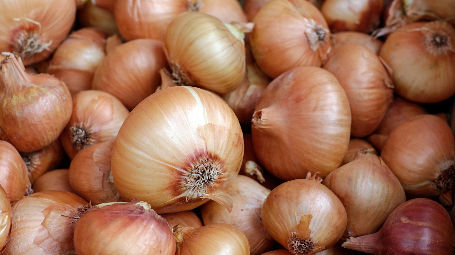5. Oignons