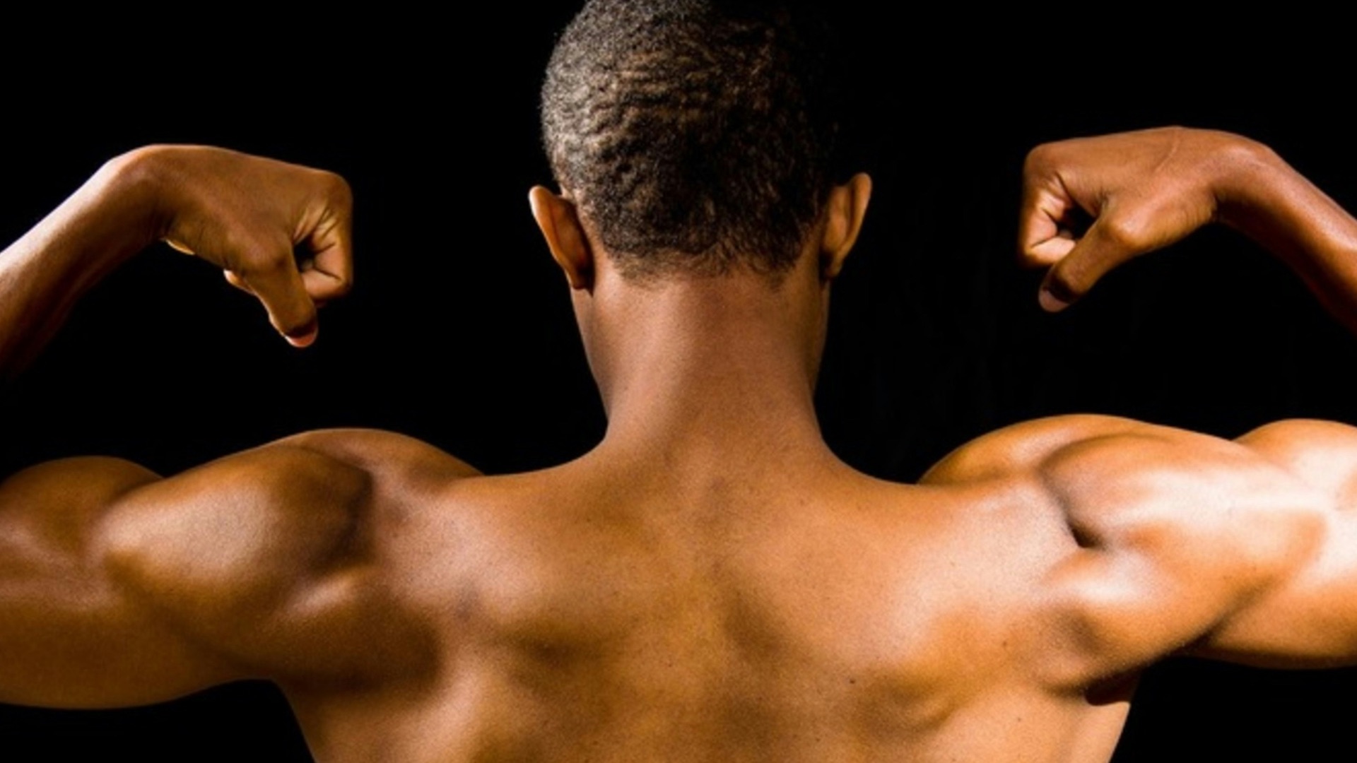 11. Muscle