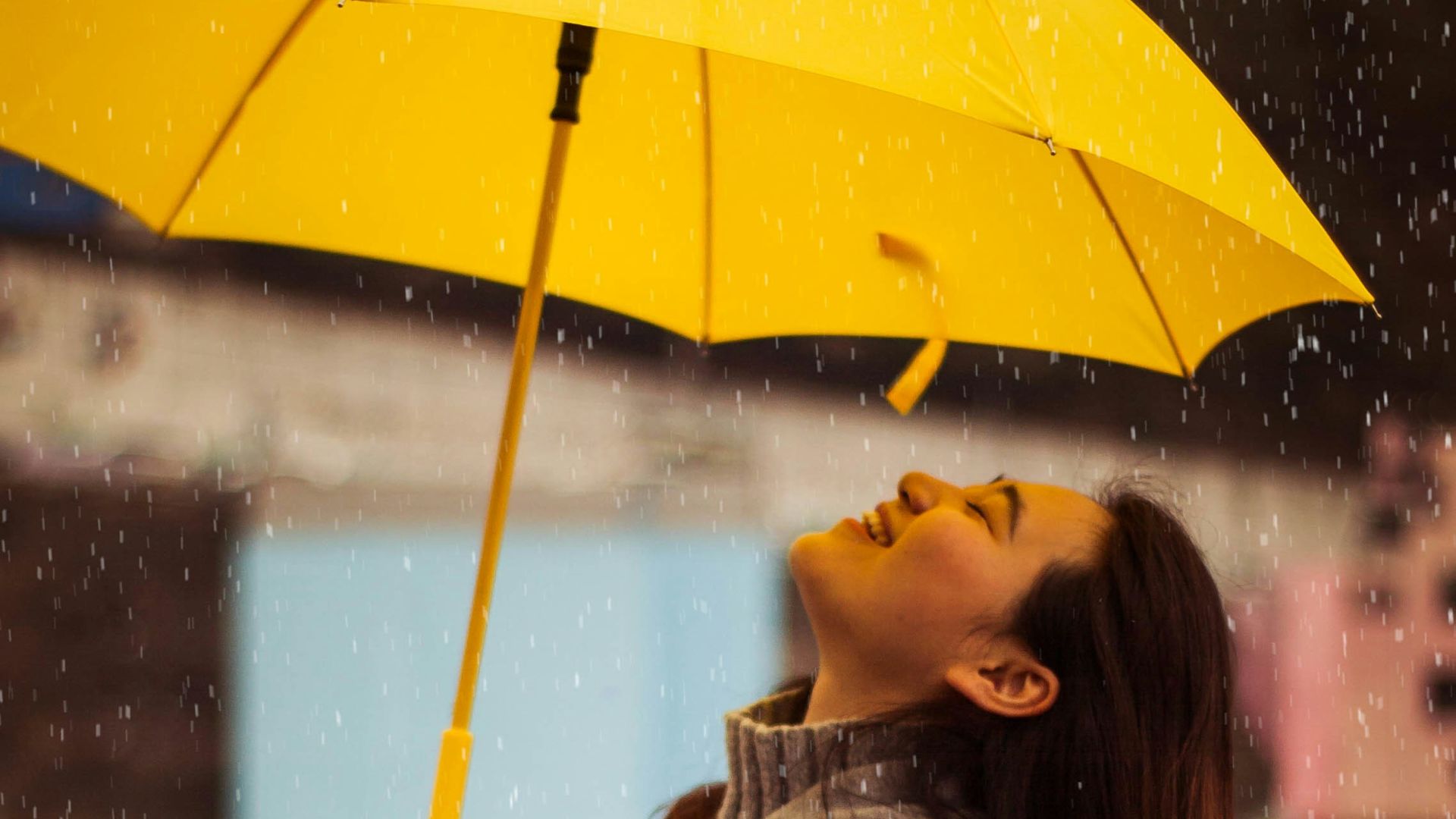 7. Parapluies