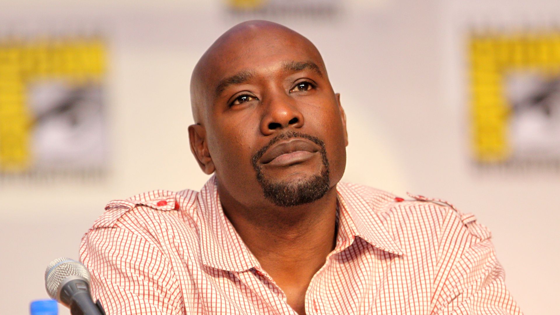 16. Morris Chestnut