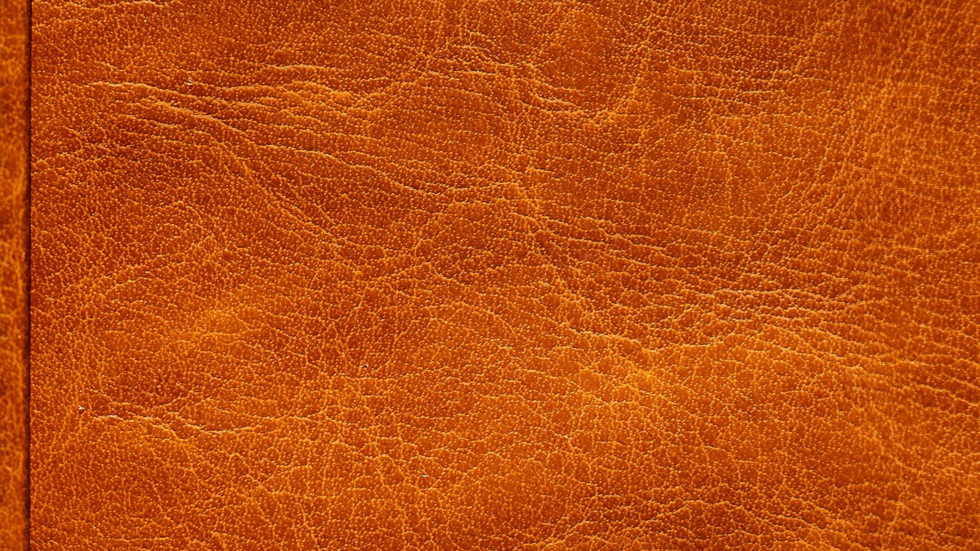 11. Cuir d'agneau souple comme du beurre