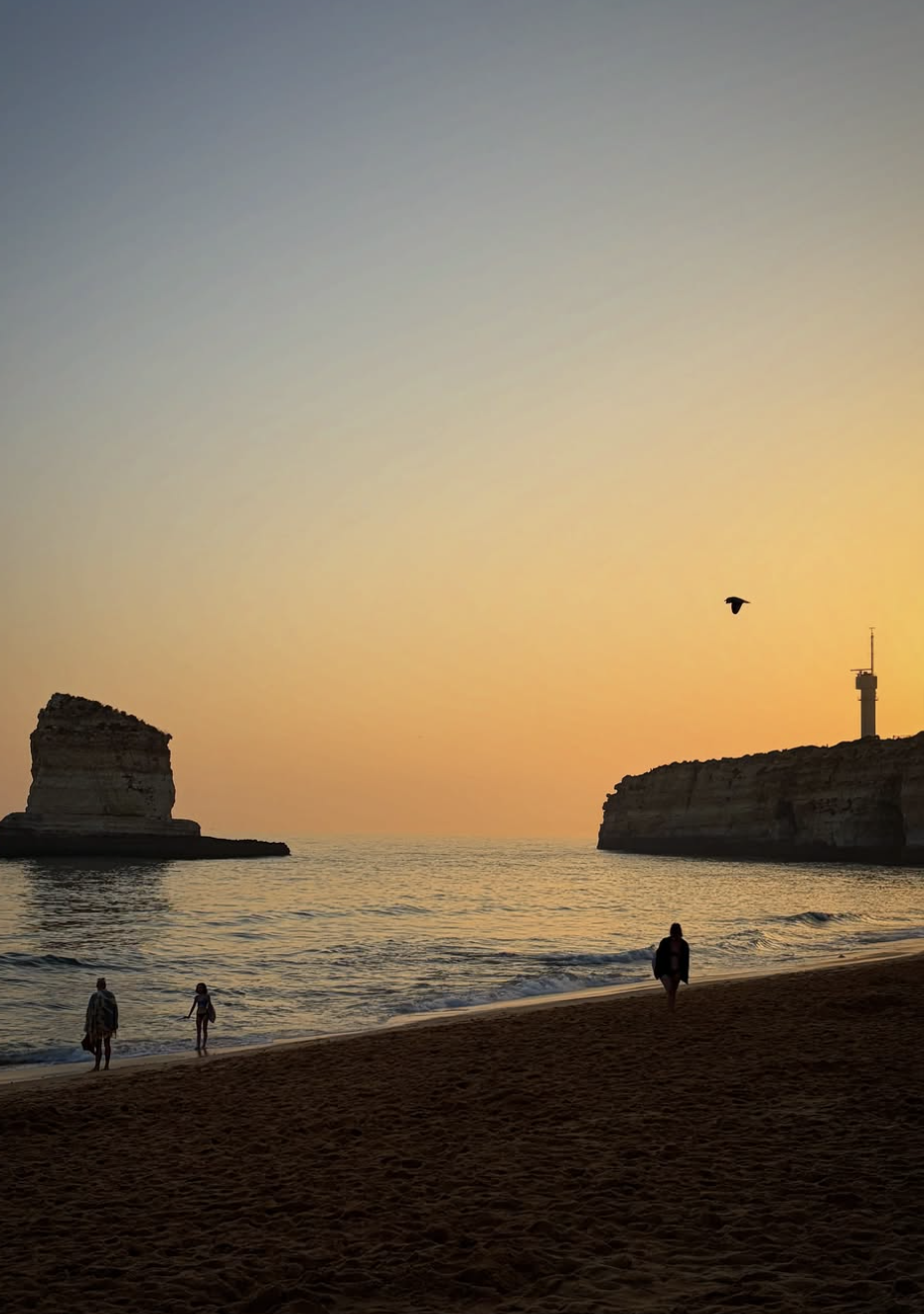 Le spectaculaire paysage
