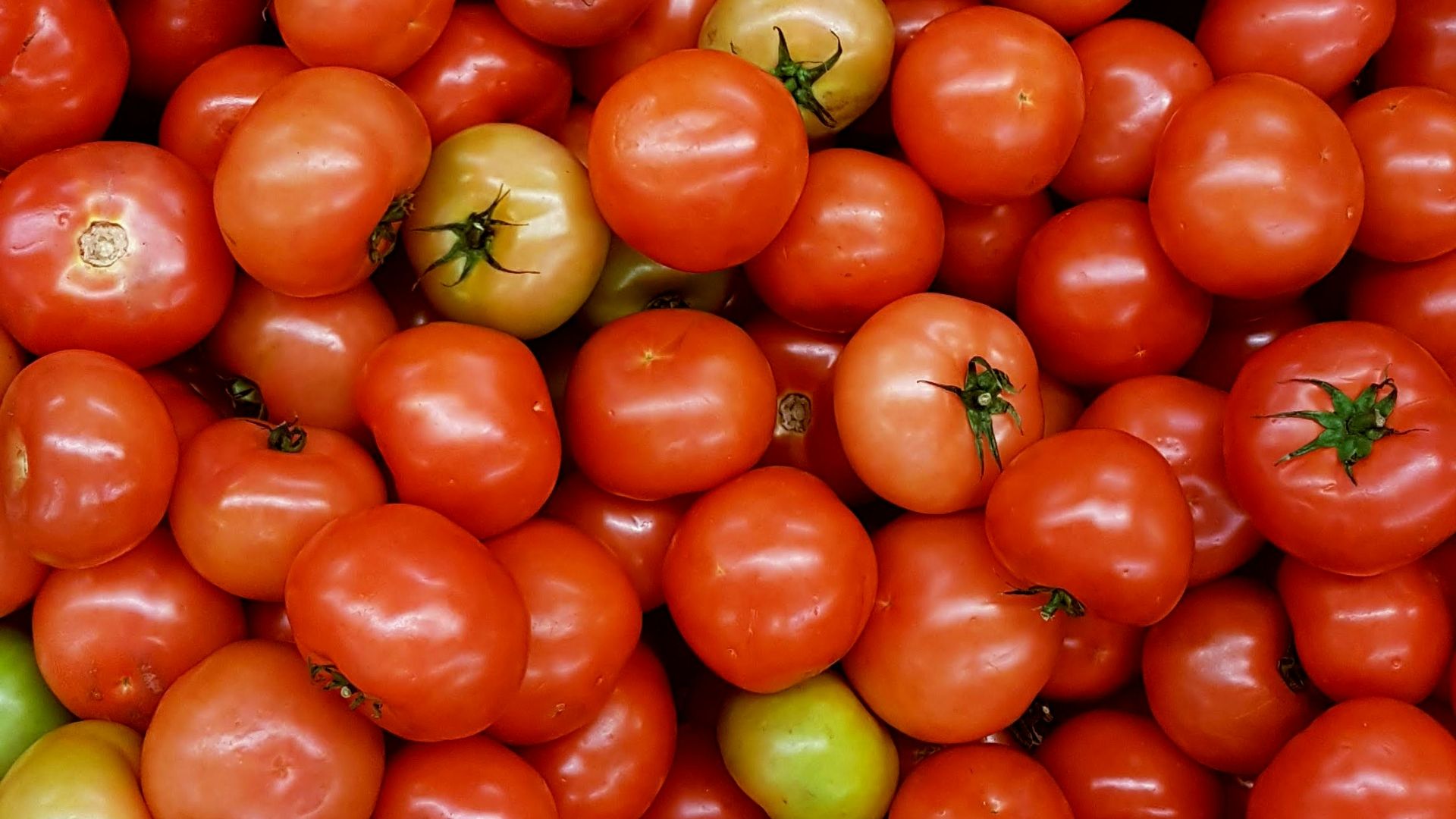 14. Savoir quand les fruits et légumes présentant des imperfections sont tout à fait comestibles