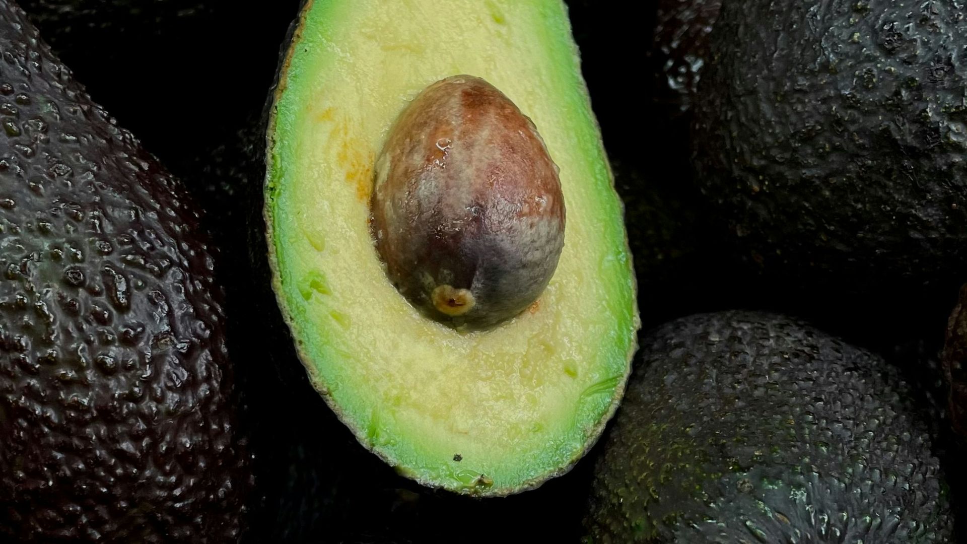 10. Les avocats