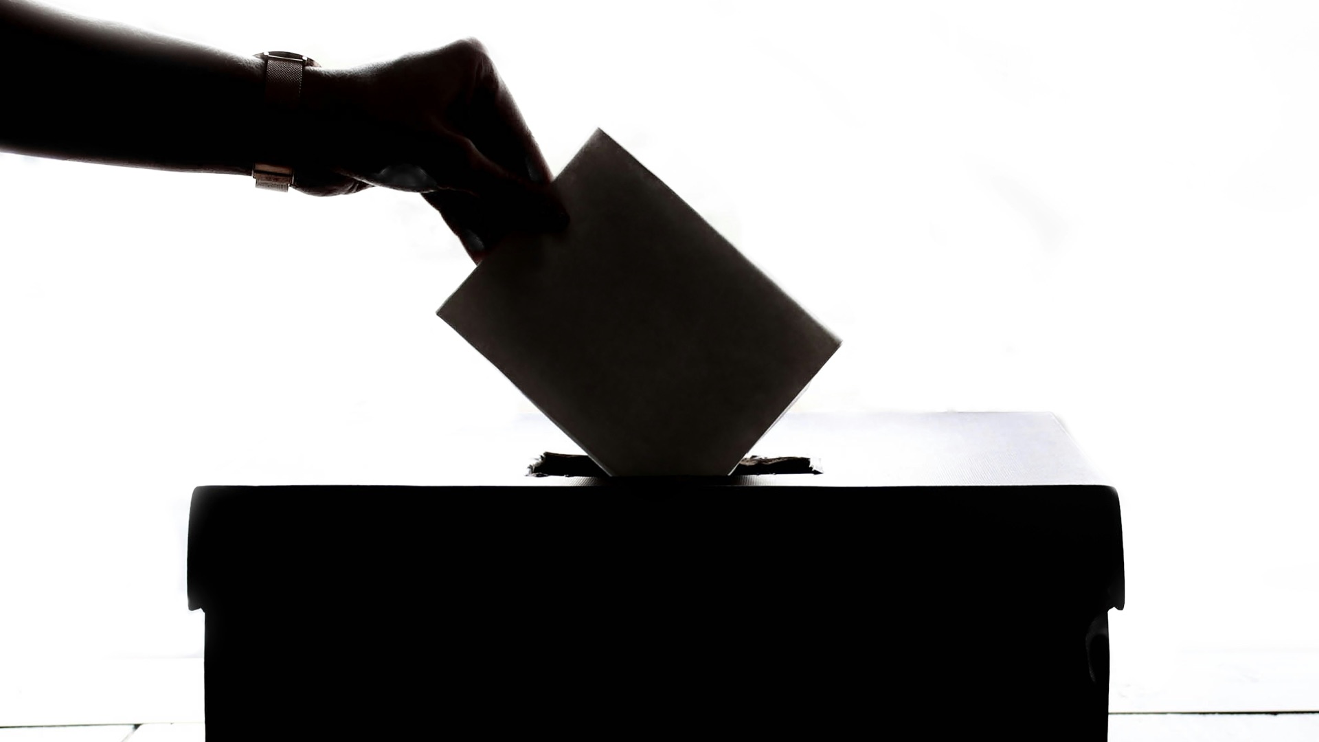 8. Candidat