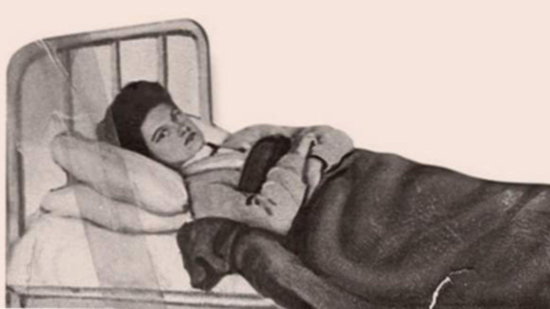 20. Mary la « Typhoid »