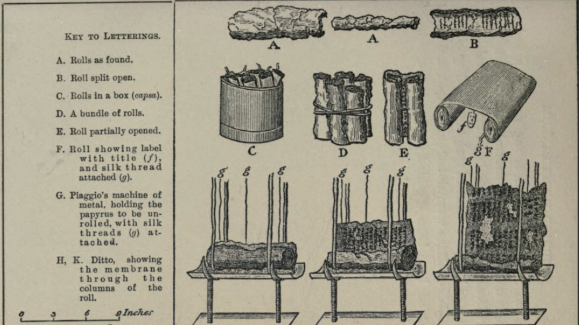 6. Les papyrus d'Herculanum ont permis de préserver une bibliothèque romaine