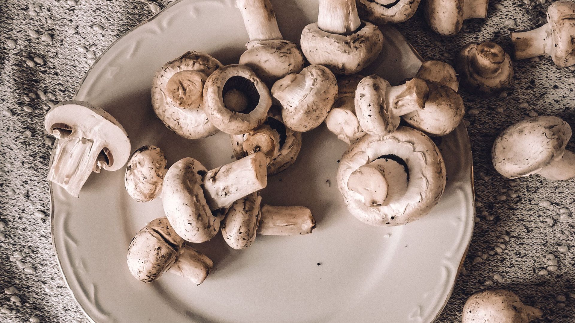 17. Faire tremper les champignons dans l'eau
