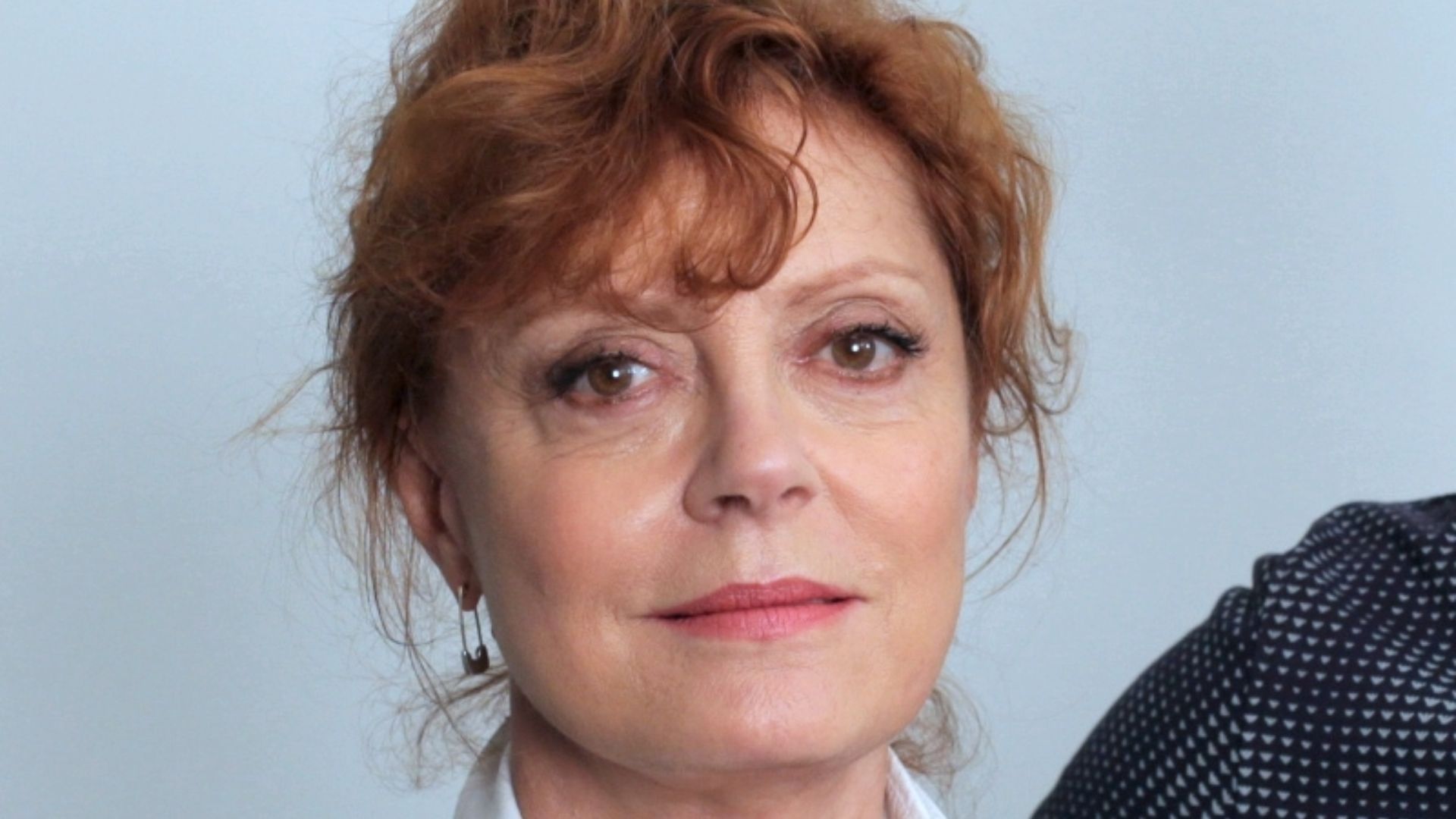 20. Susan Sarandon