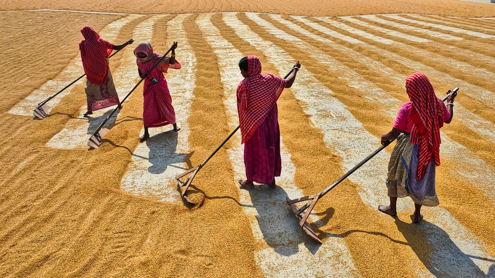 9. Pataliputra, Inde