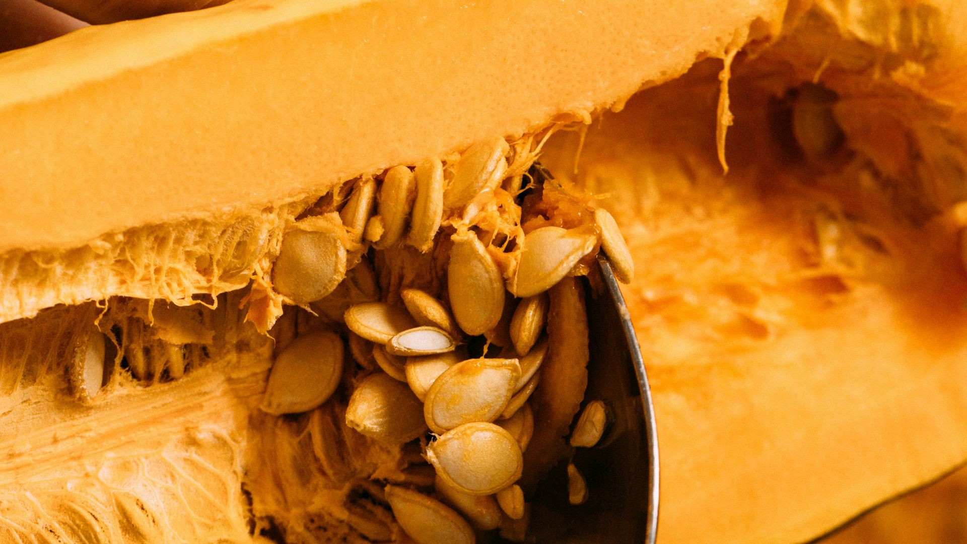 19. Courge musquée