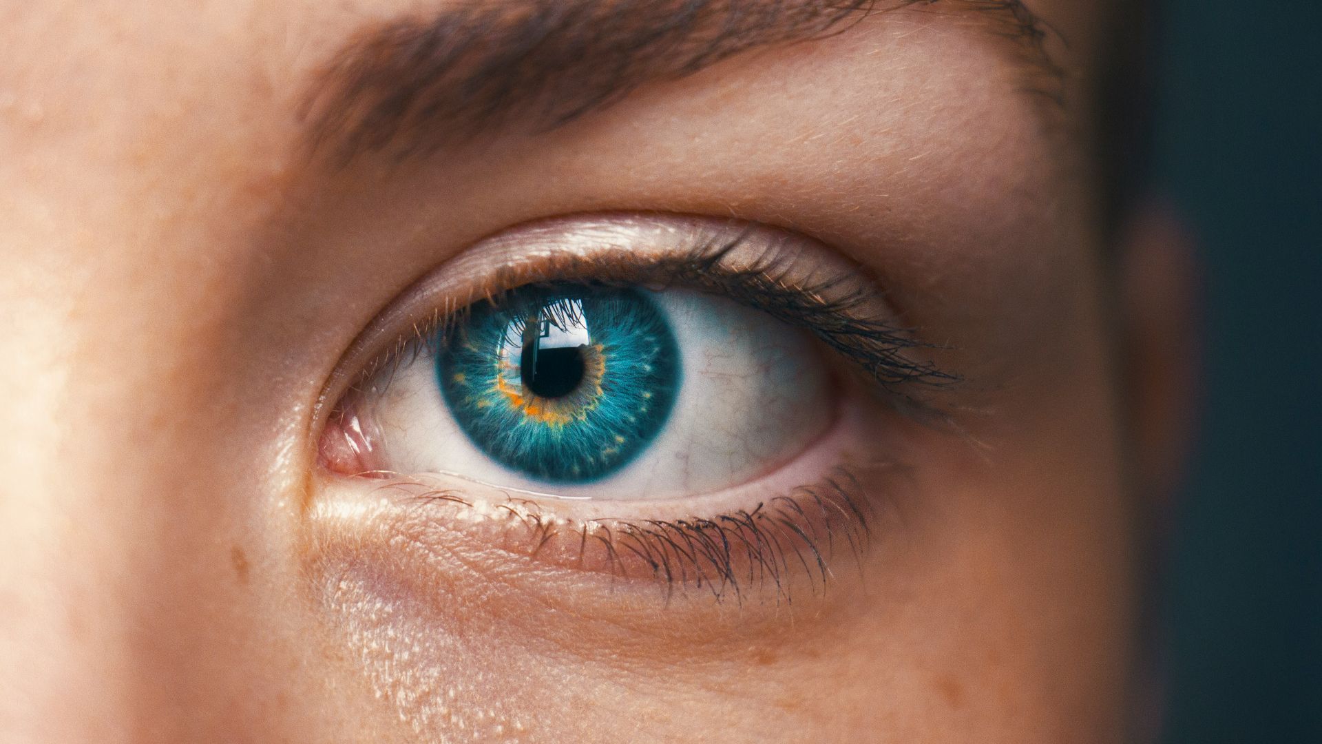 13. Suivre des objets en mouvement du regard