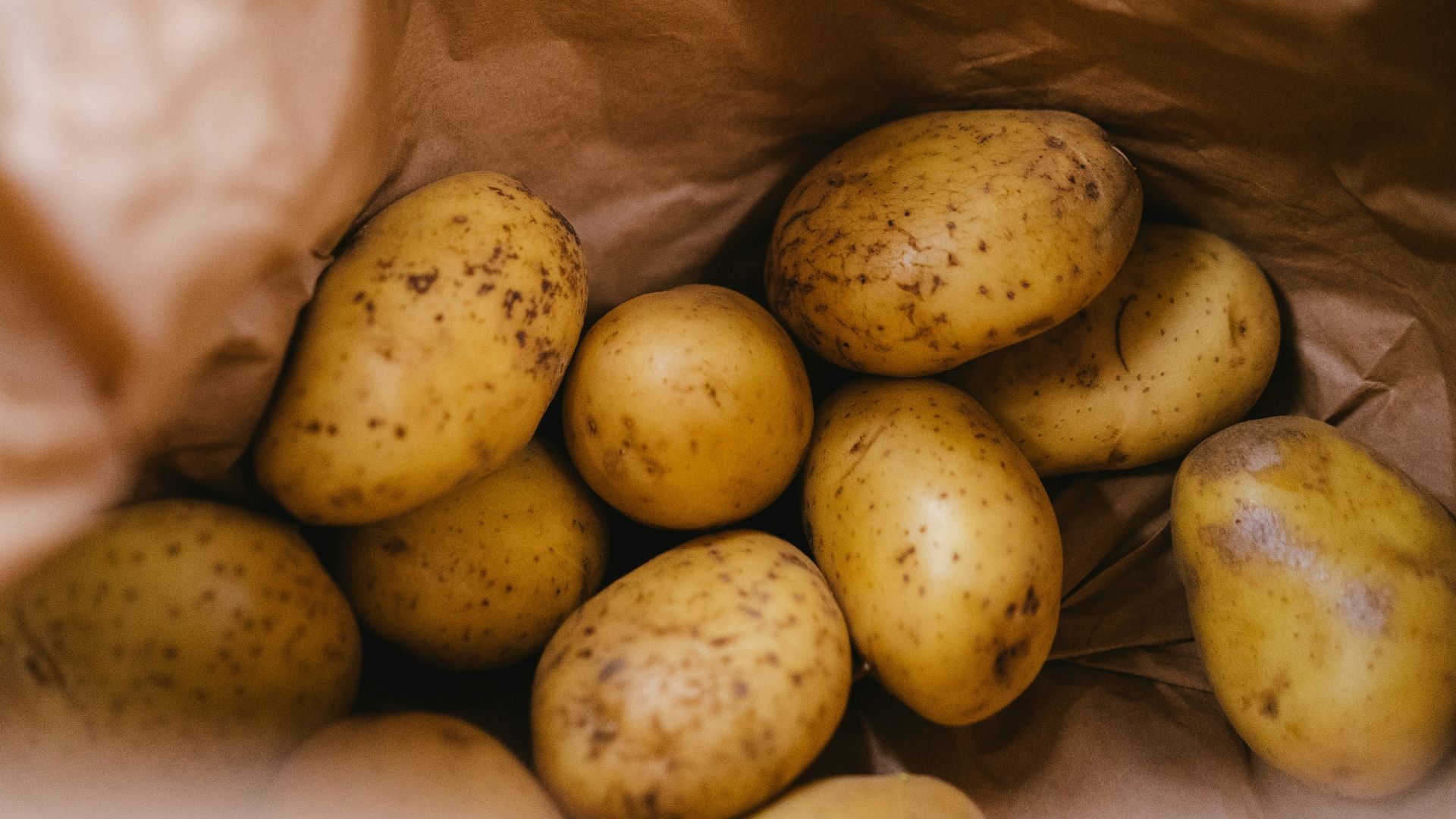 4. Inspecter les sacs de pommes de terre par le dessous
