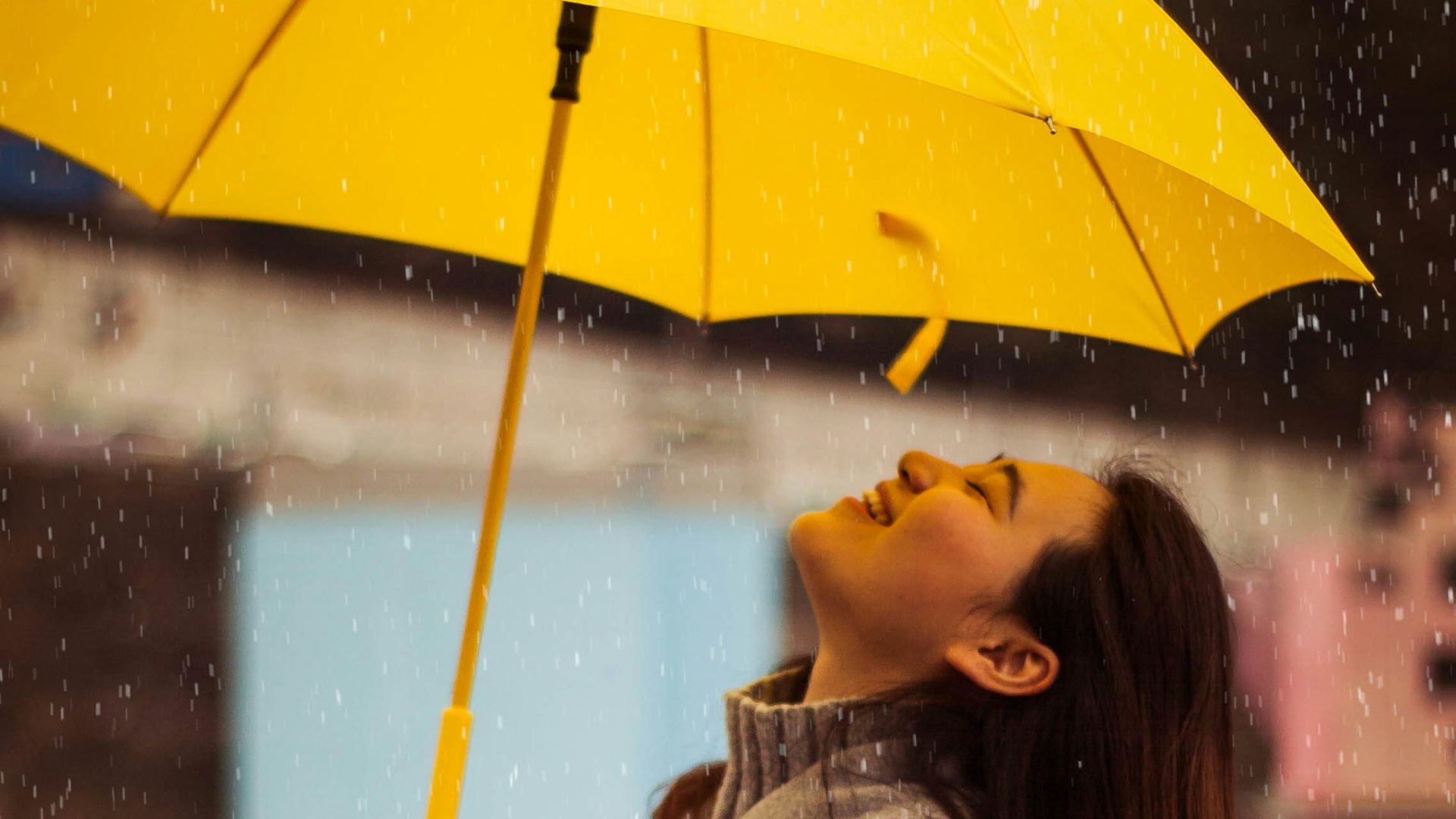 12. Parapluies