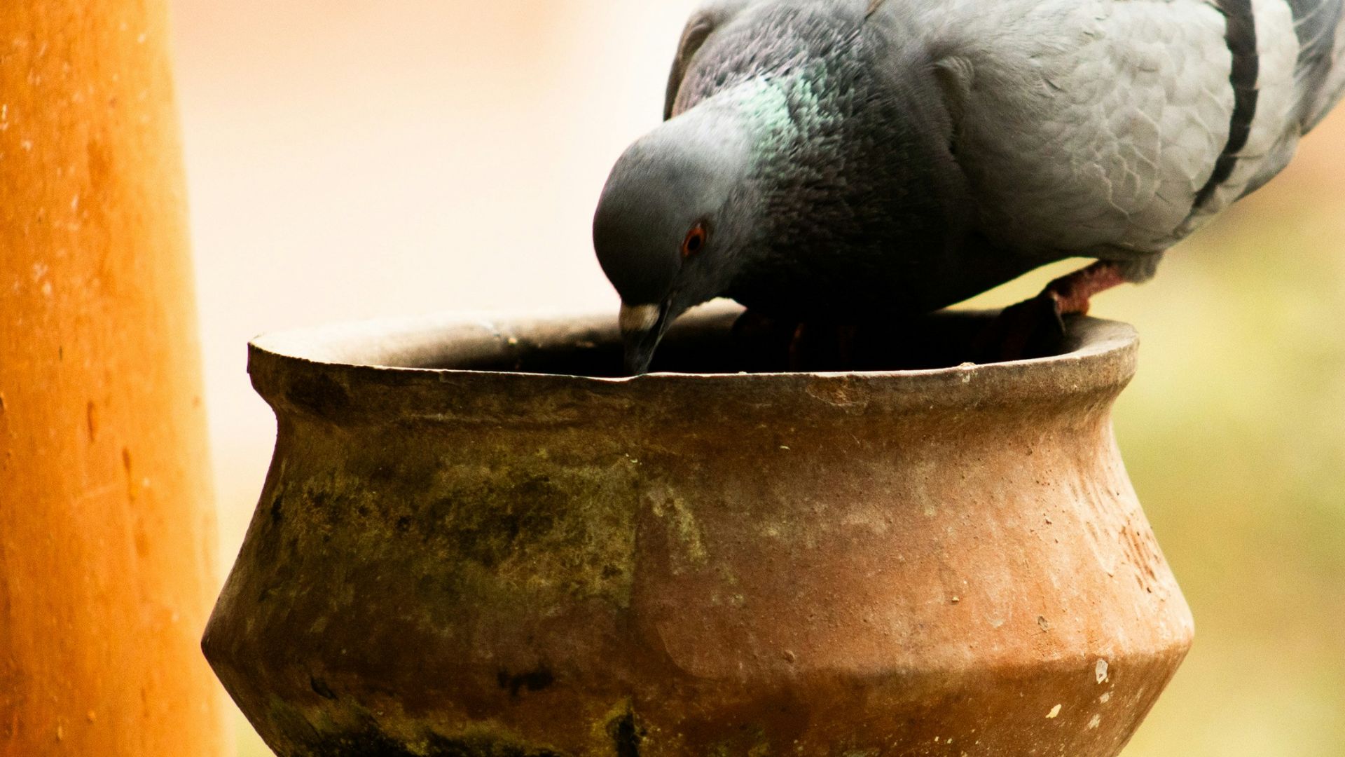 7. Nettoyer les casseroles avec du sable et des cendres dangereux