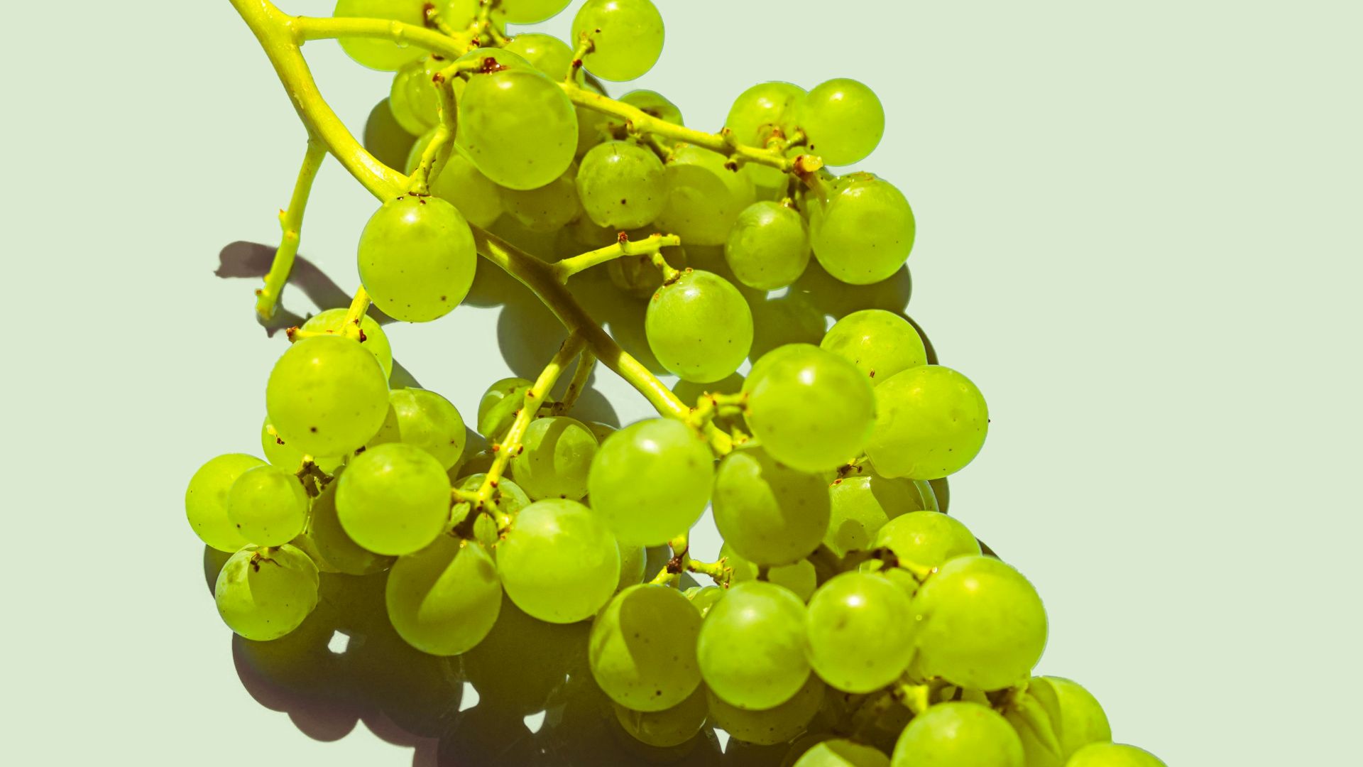 11. Raisins