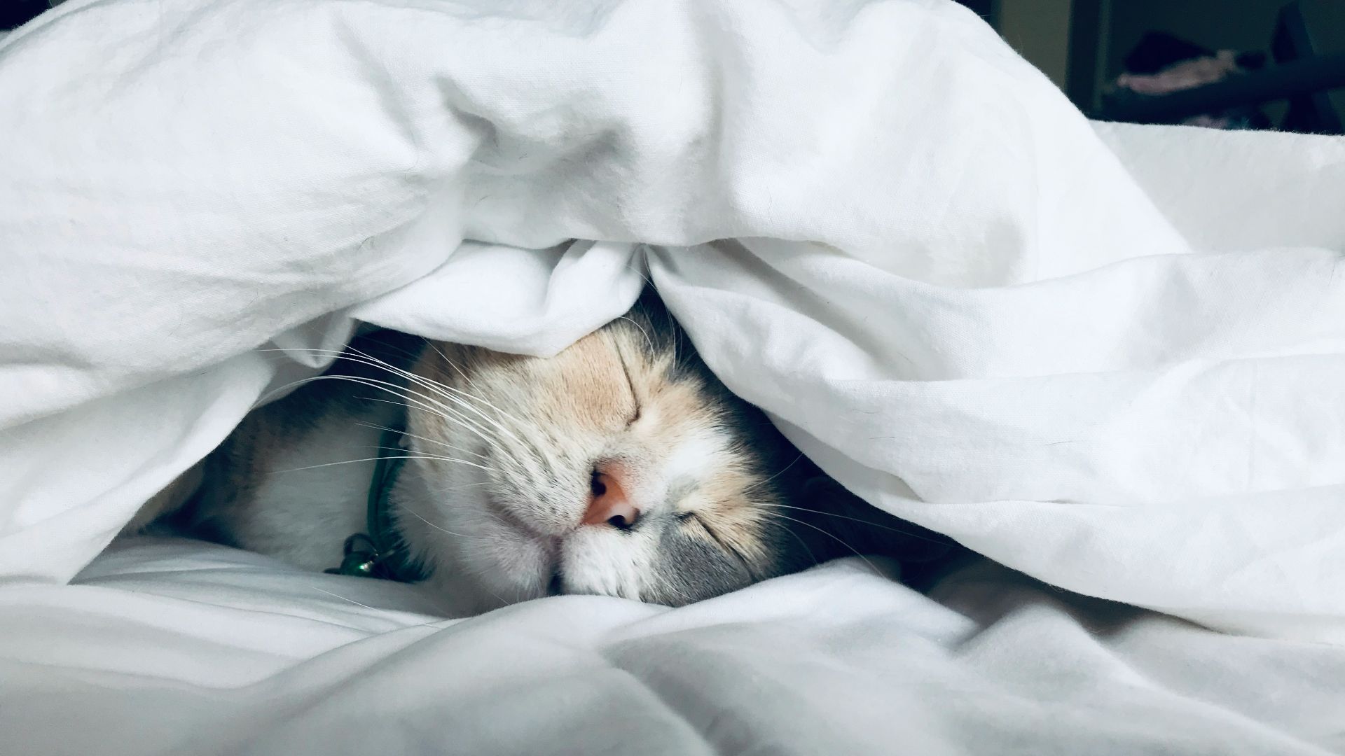 6. Votre sommeil pourrait s'améliorer