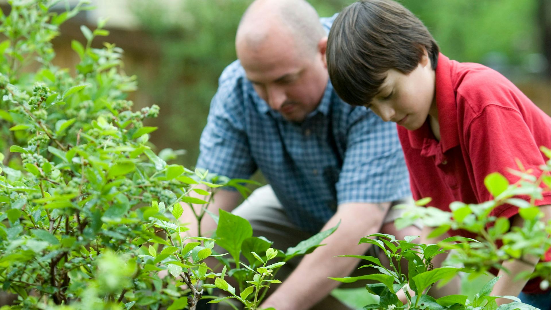 6. Entretenir son propre jardin