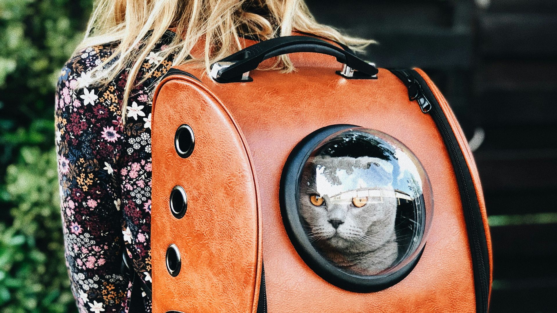 8. Sacs de transport pour animaux de compagnie au style design