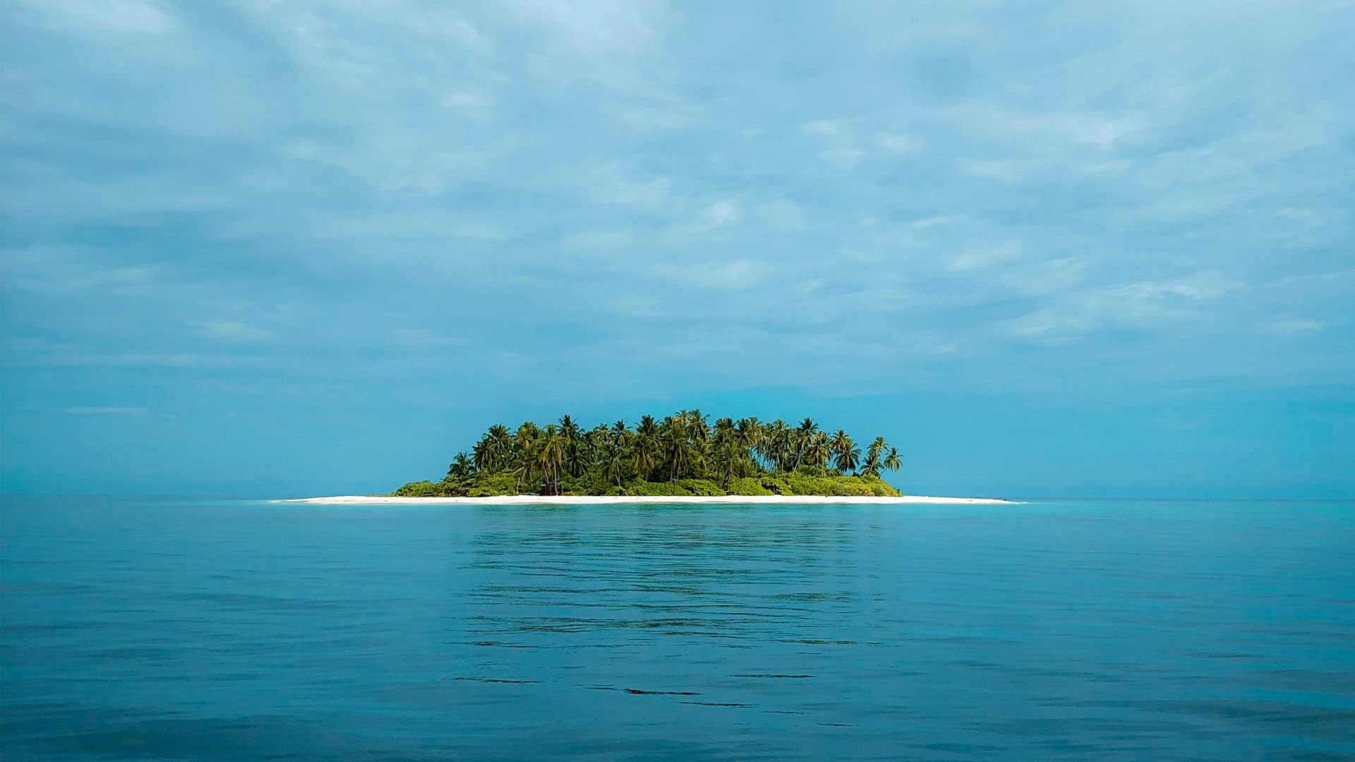 14. Isla