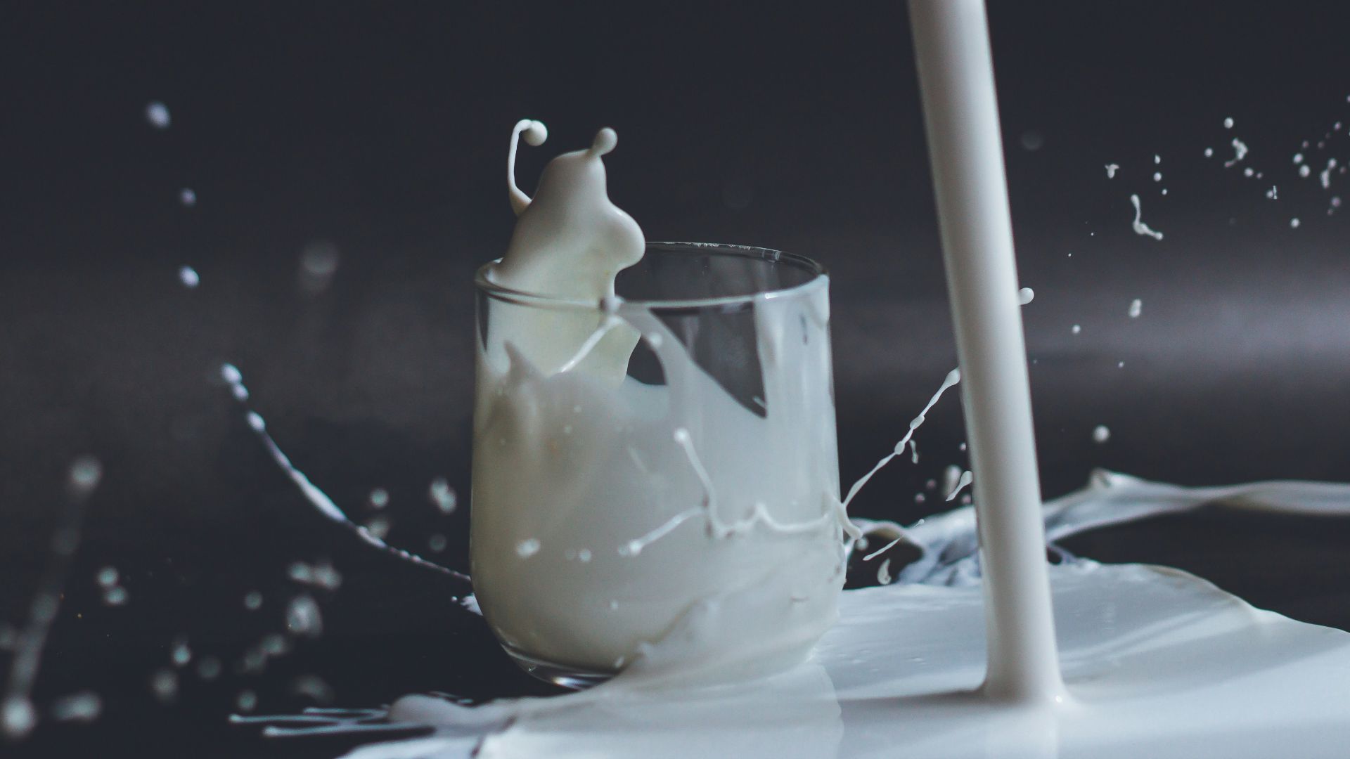 1. Lait