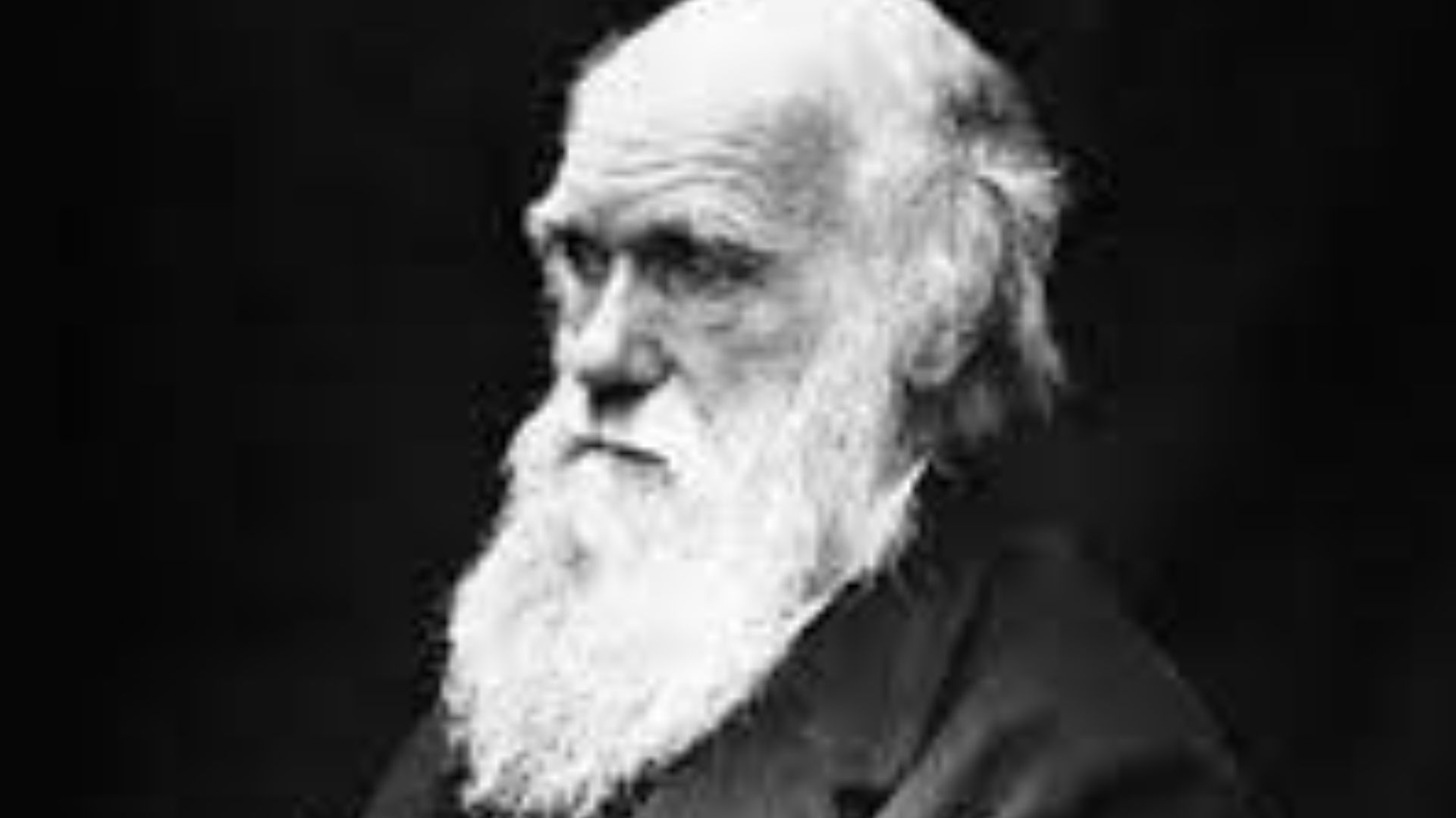 2. Charles Darwin et Francis Galton