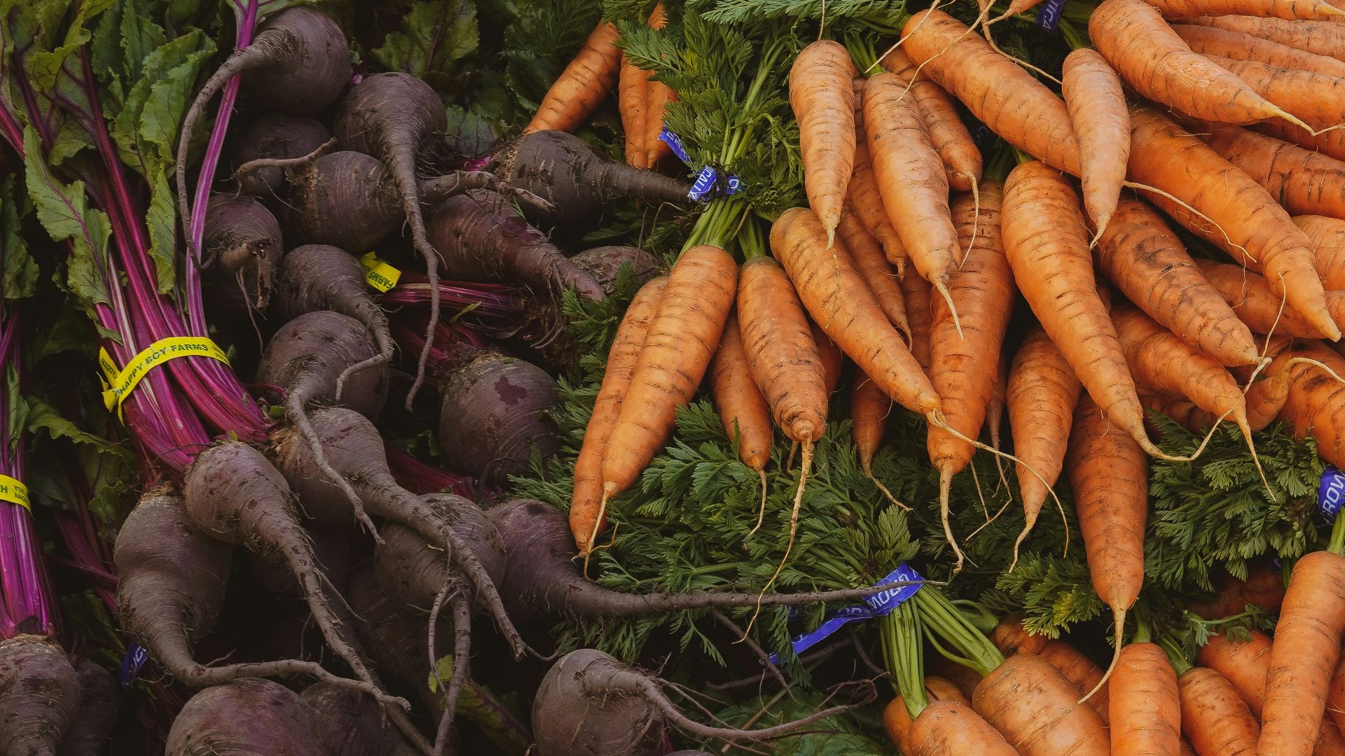 7. Haricots, choux, courges et légumes-racines