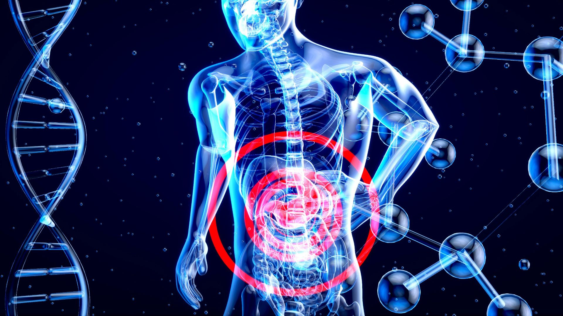 5. Régler la vitesse de votre digestion