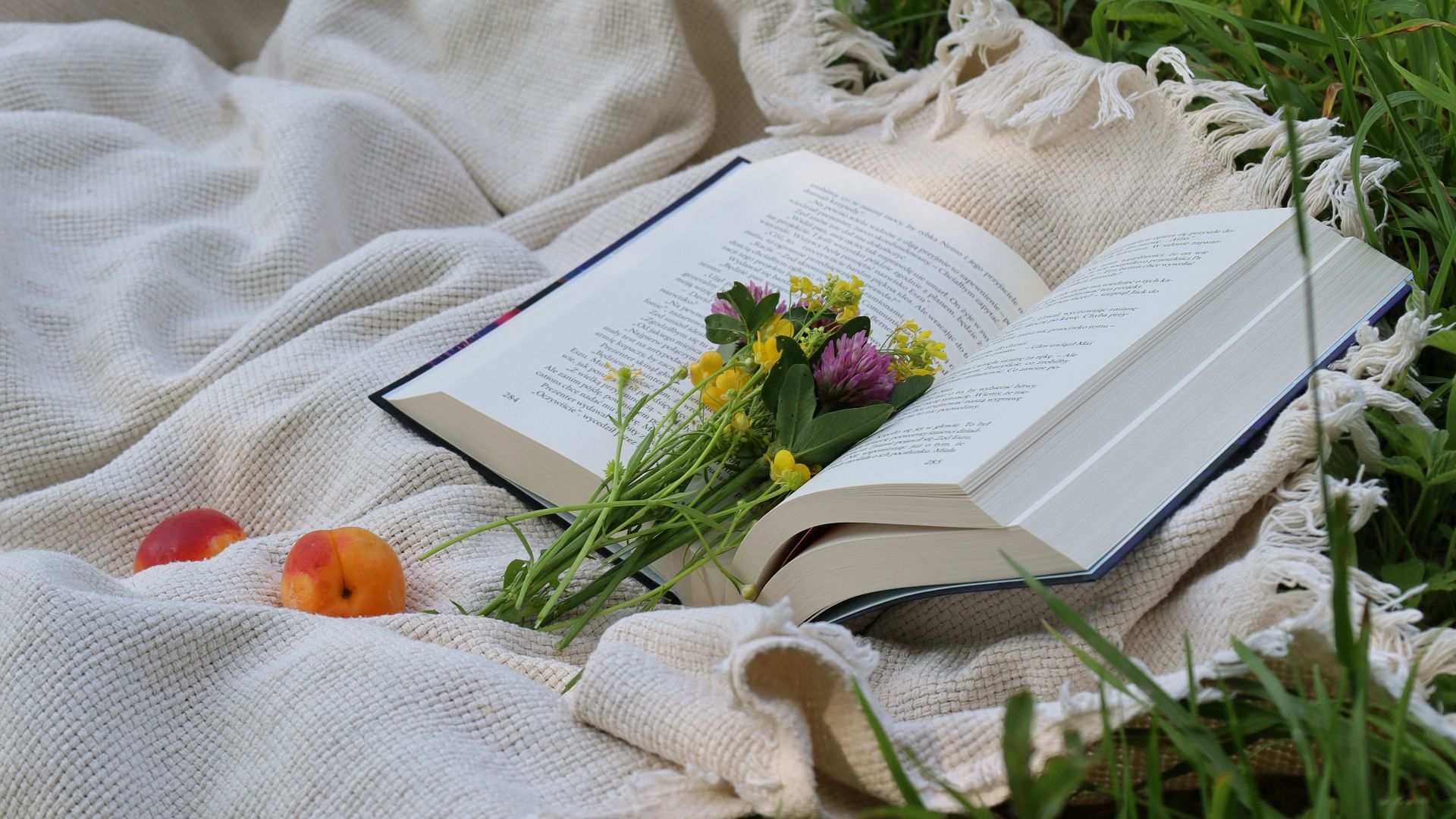 19. Attendre avec une couverture