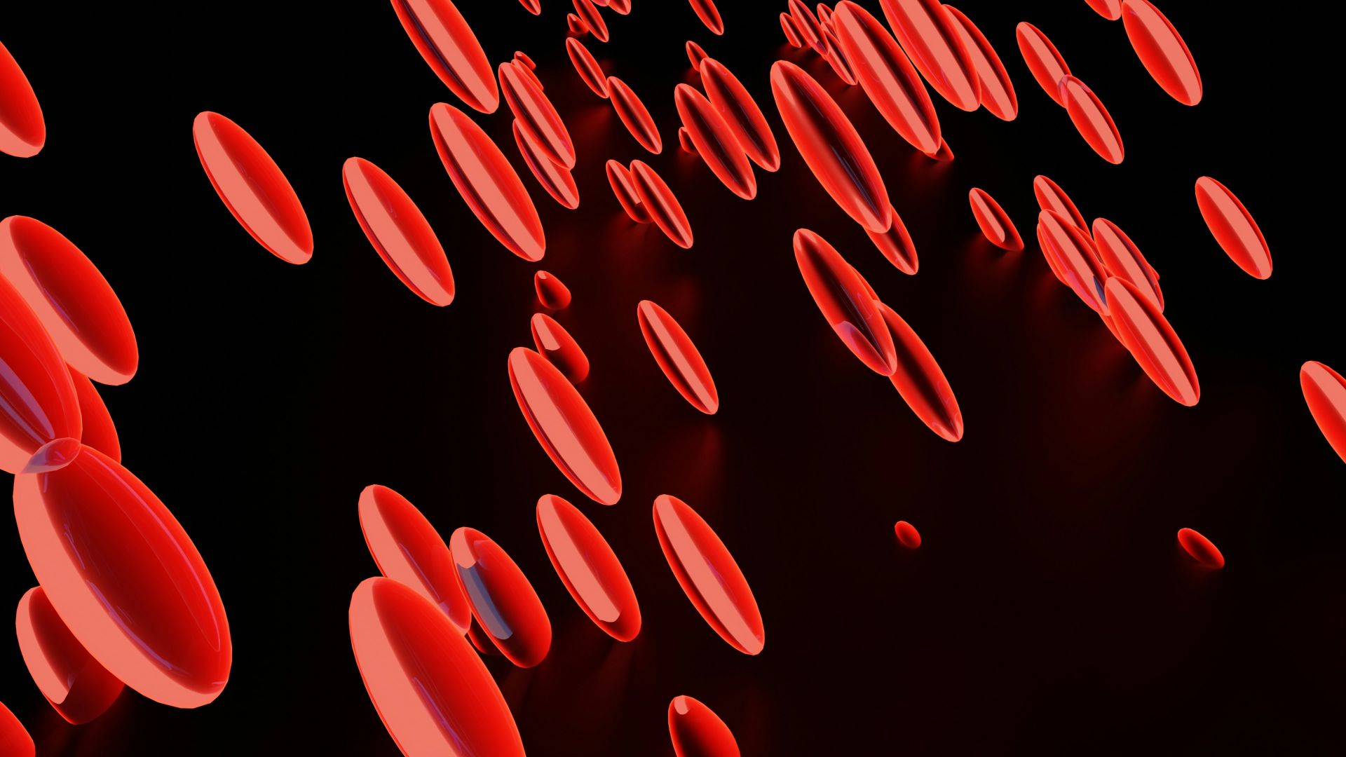 3. Les globules rouges ont besoin de vitamine B12