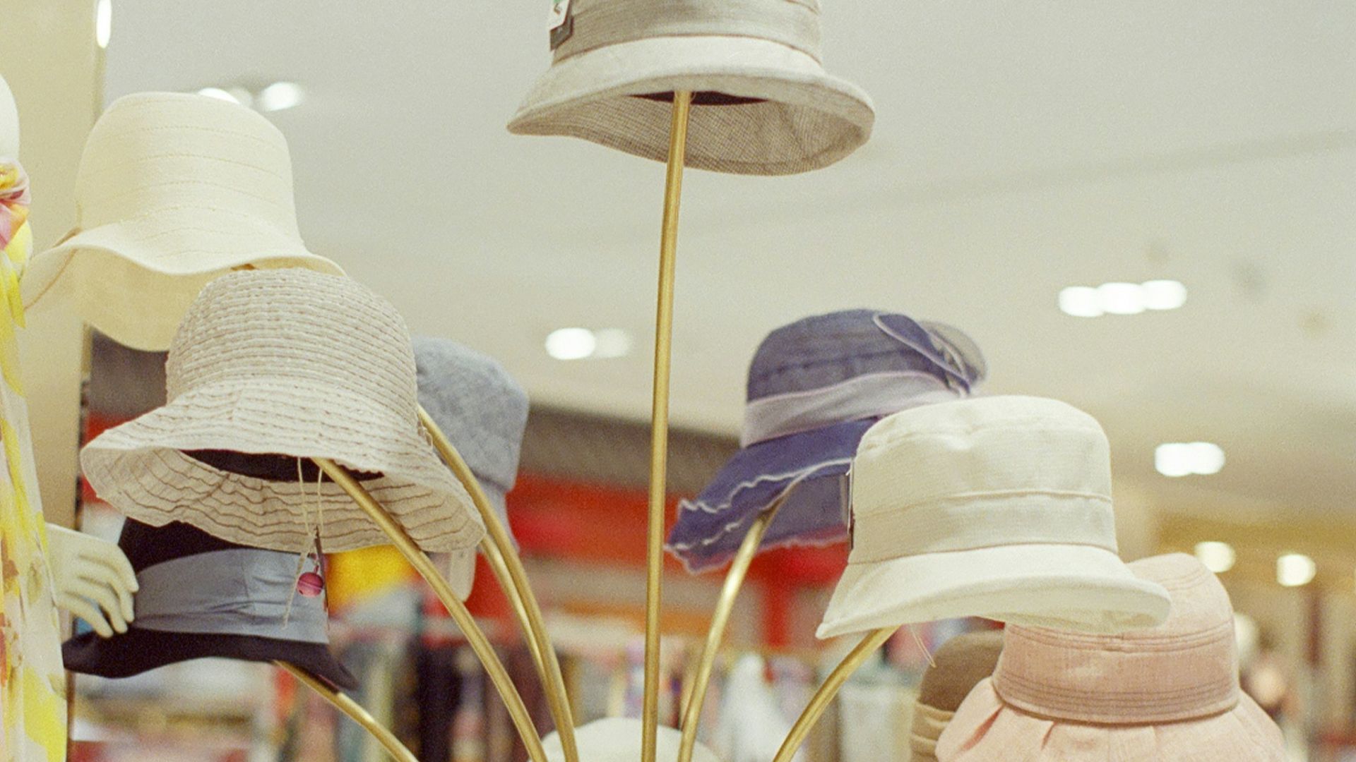 19. Le fedora audacieux à large bord