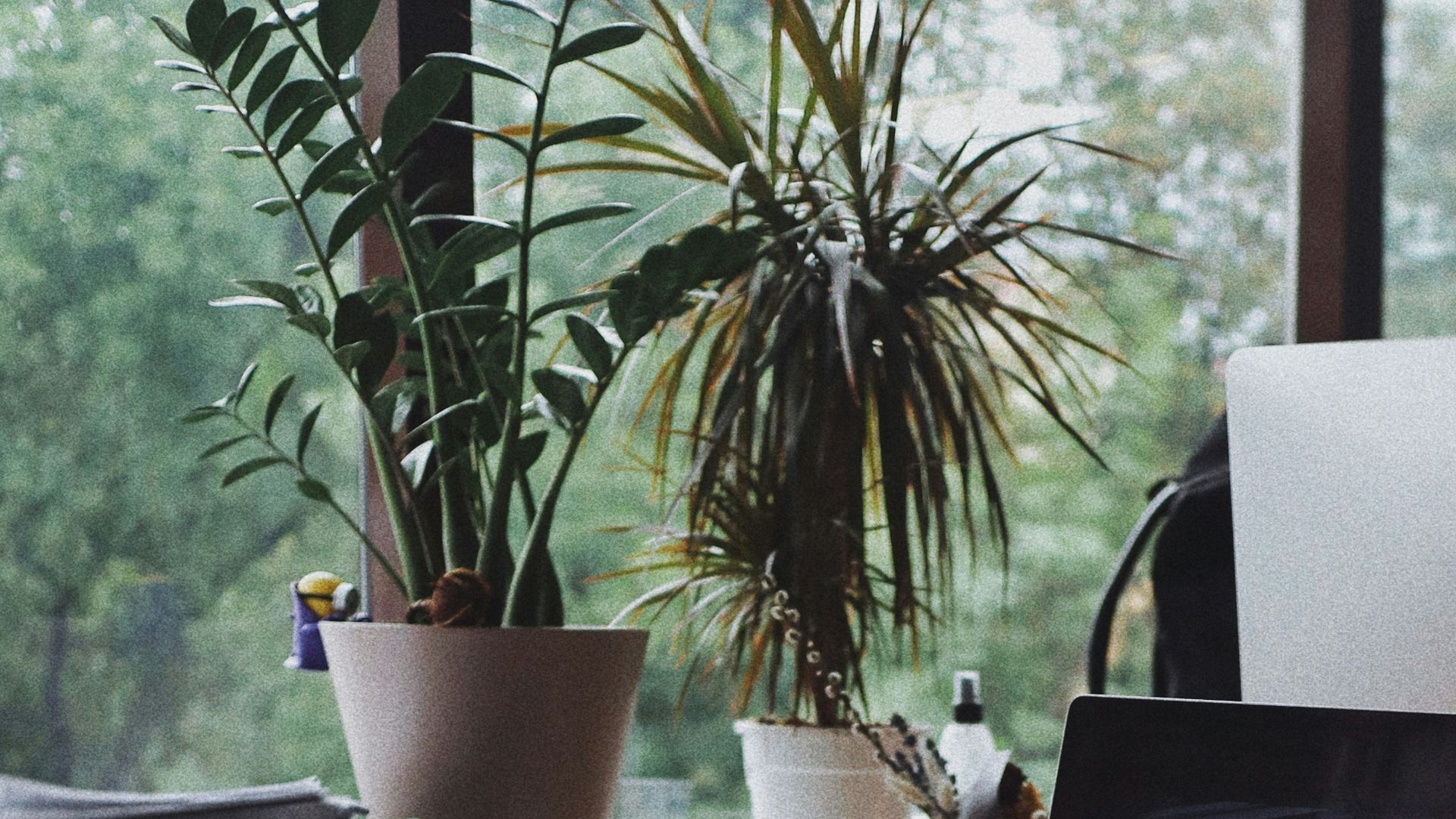 13. Les améliorations respectueuses de l'environnement sont une priorité absolue