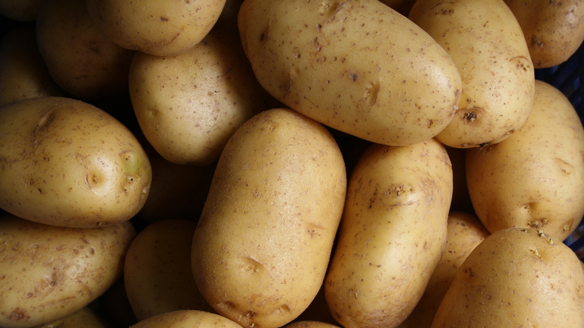 10. Pommes de terre