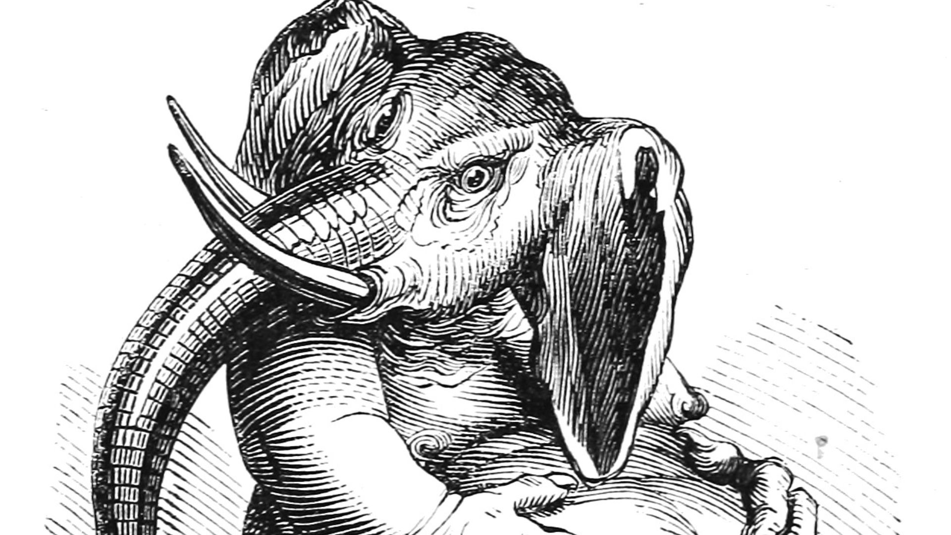 7. Le Béhémoth