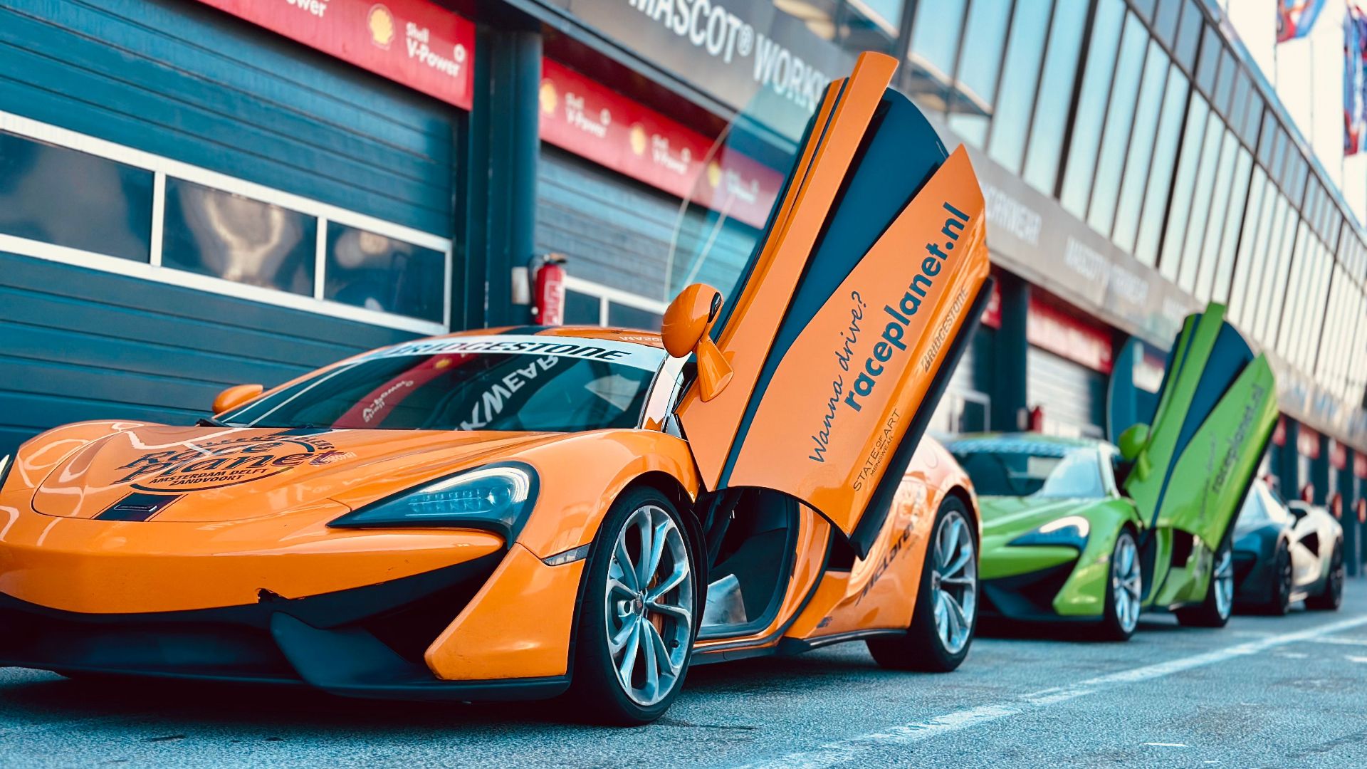 19. P1 International