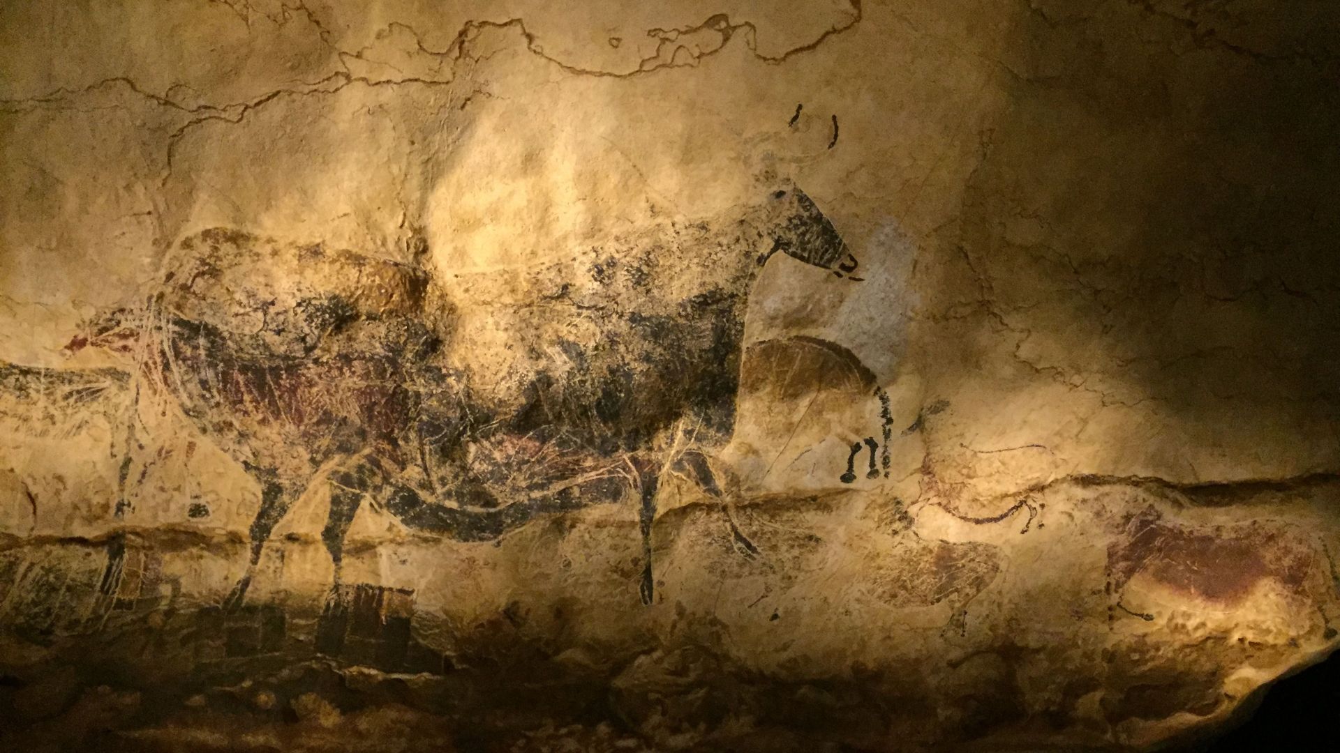 10. Des adolescents ont pénétré dans les grottes de Lascaux