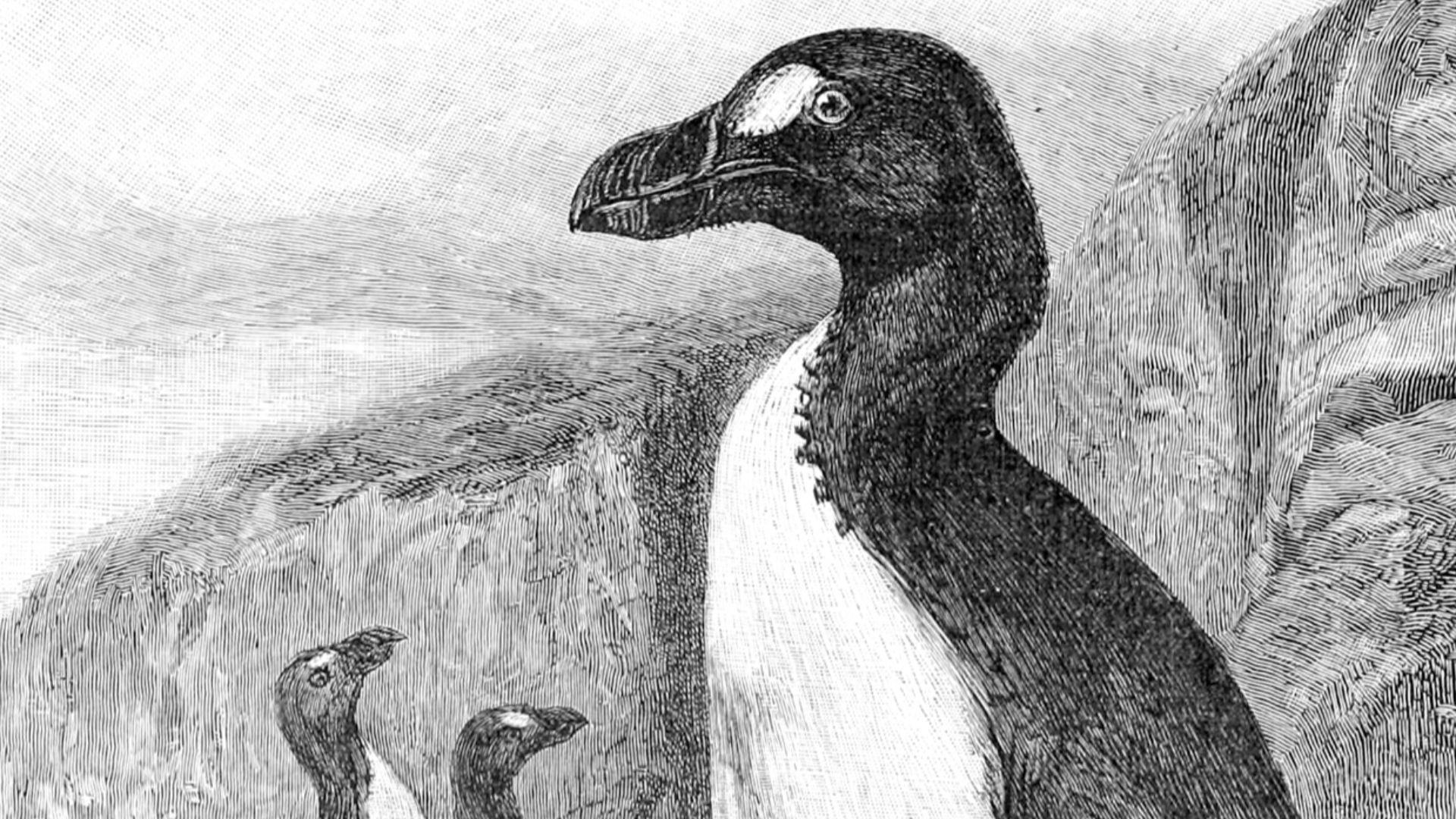 20 Famous Birds in History
