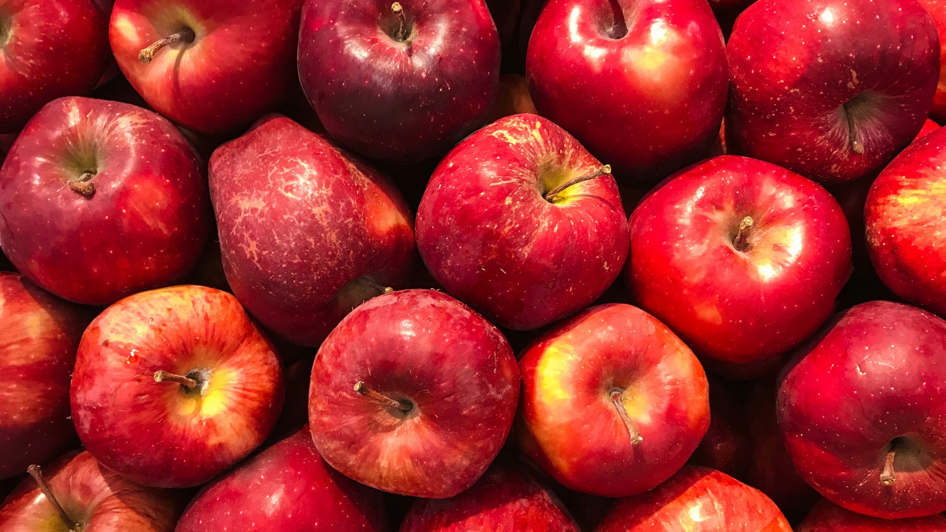 11. Les pommes