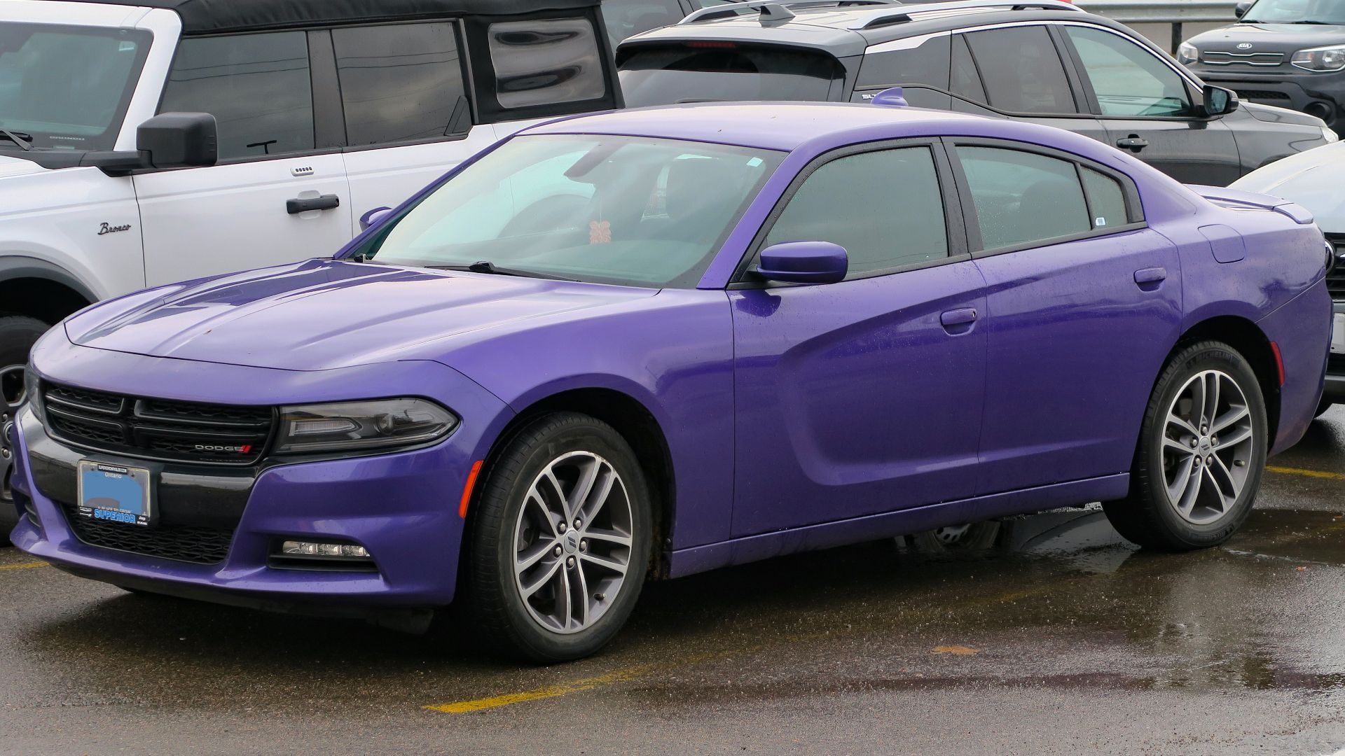 10. Plum Crazy