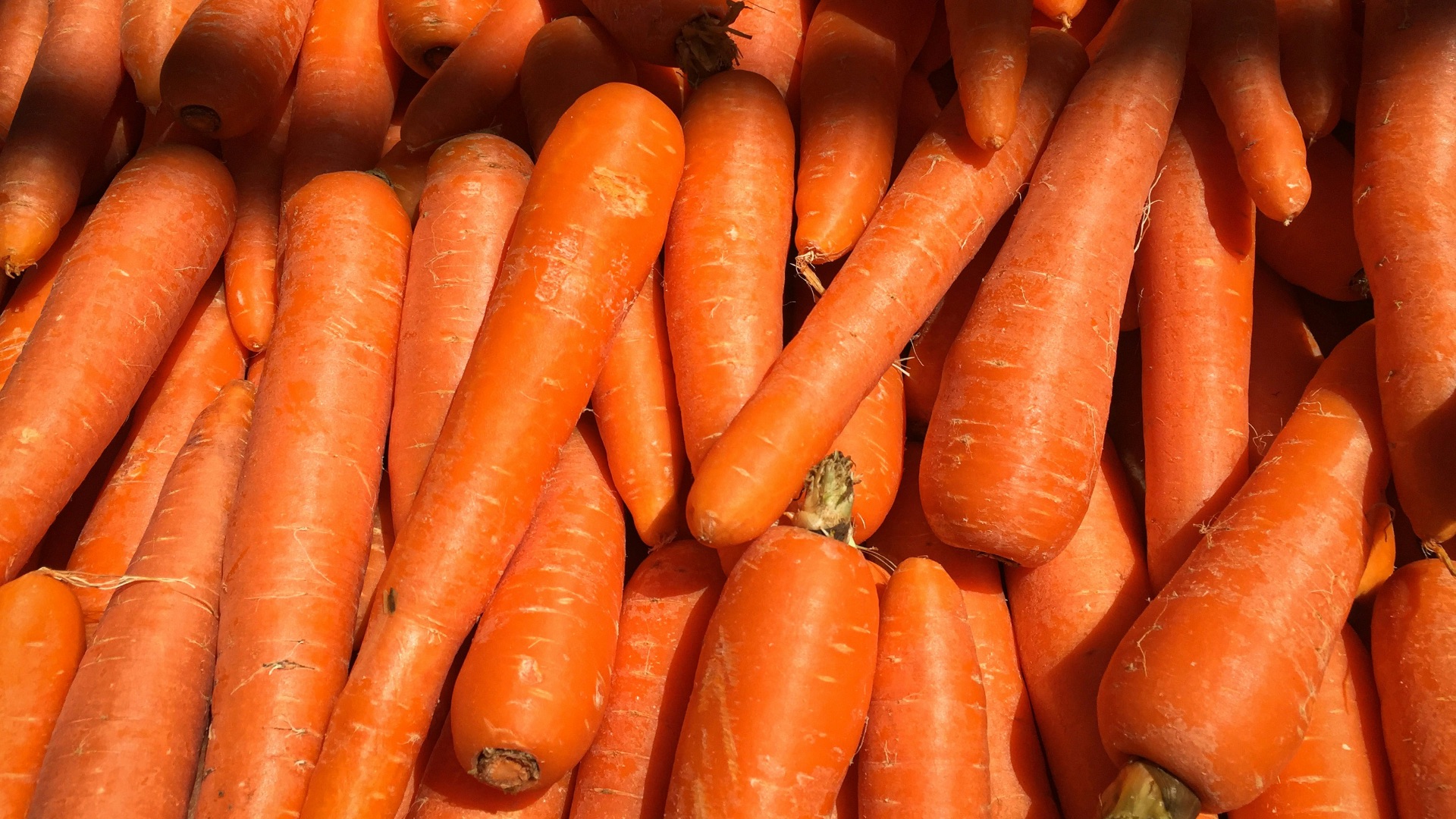 5. Carottes