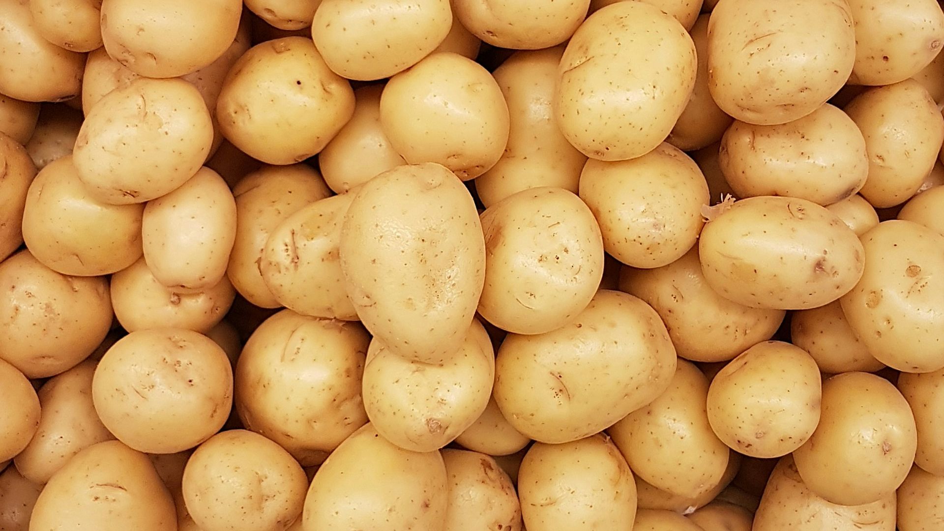 5. Pommes de terre