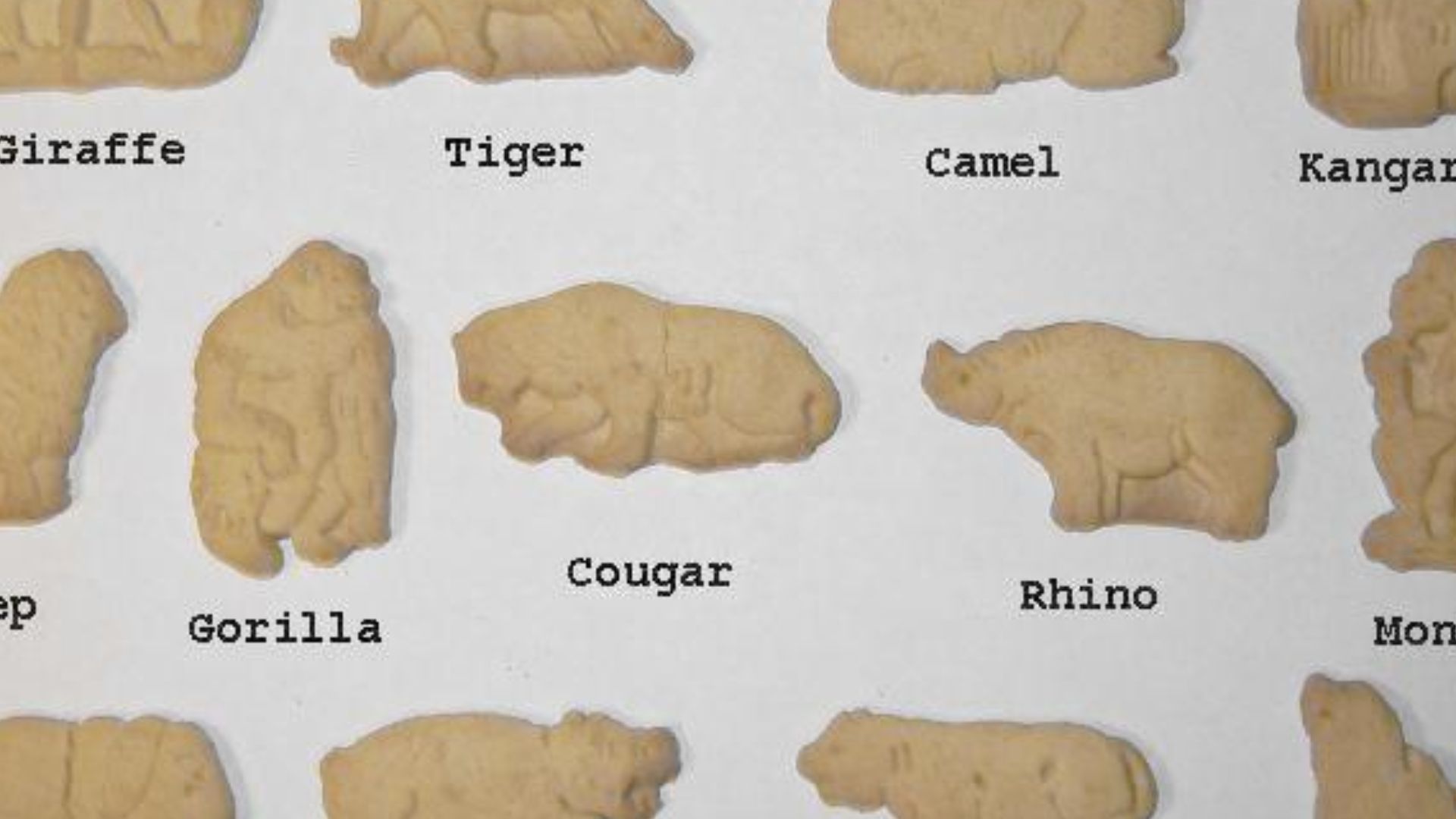 2. Les « Animal Crackers » (années 1910)