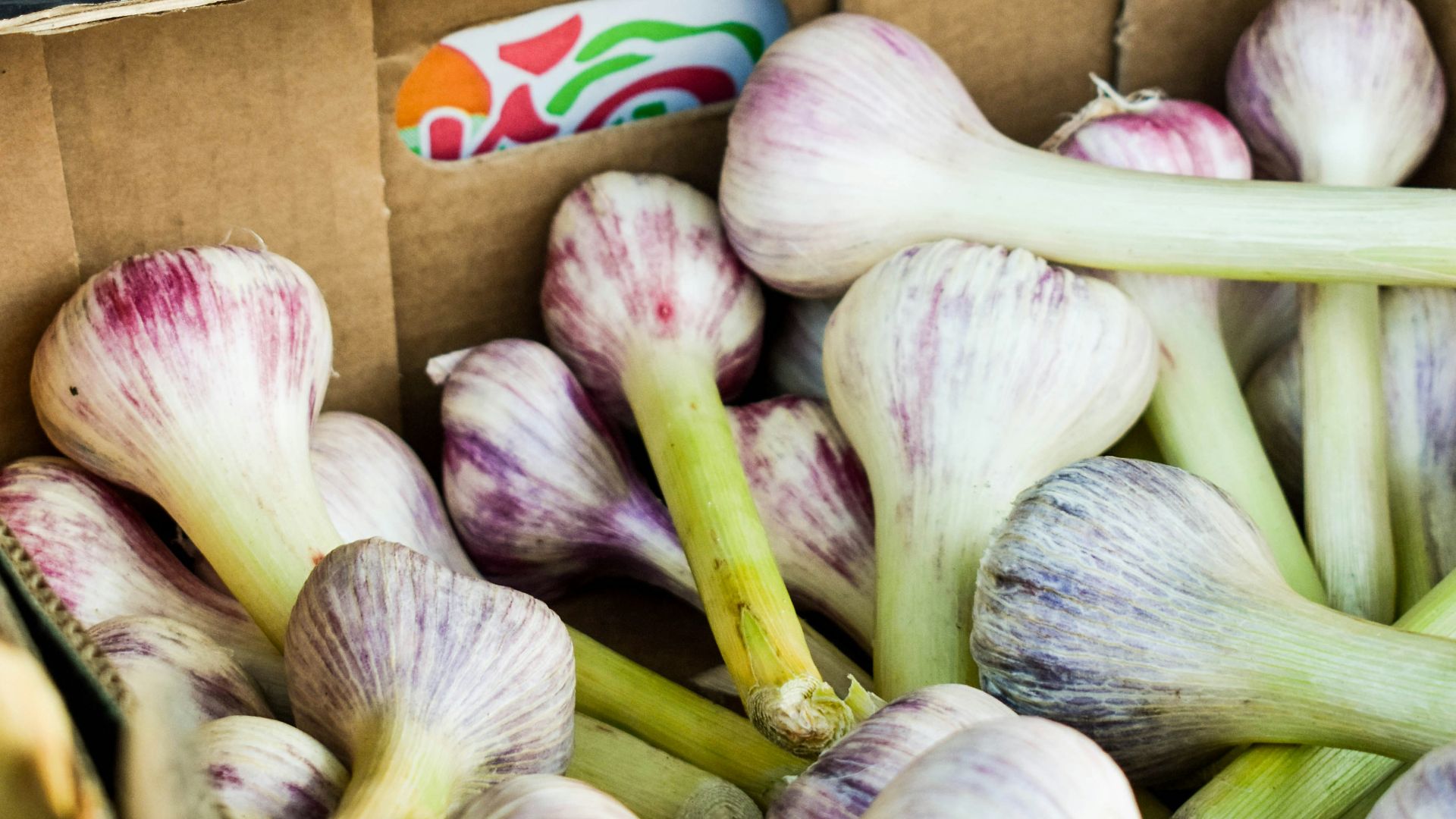 4. L'ail dans la cuisine italienne